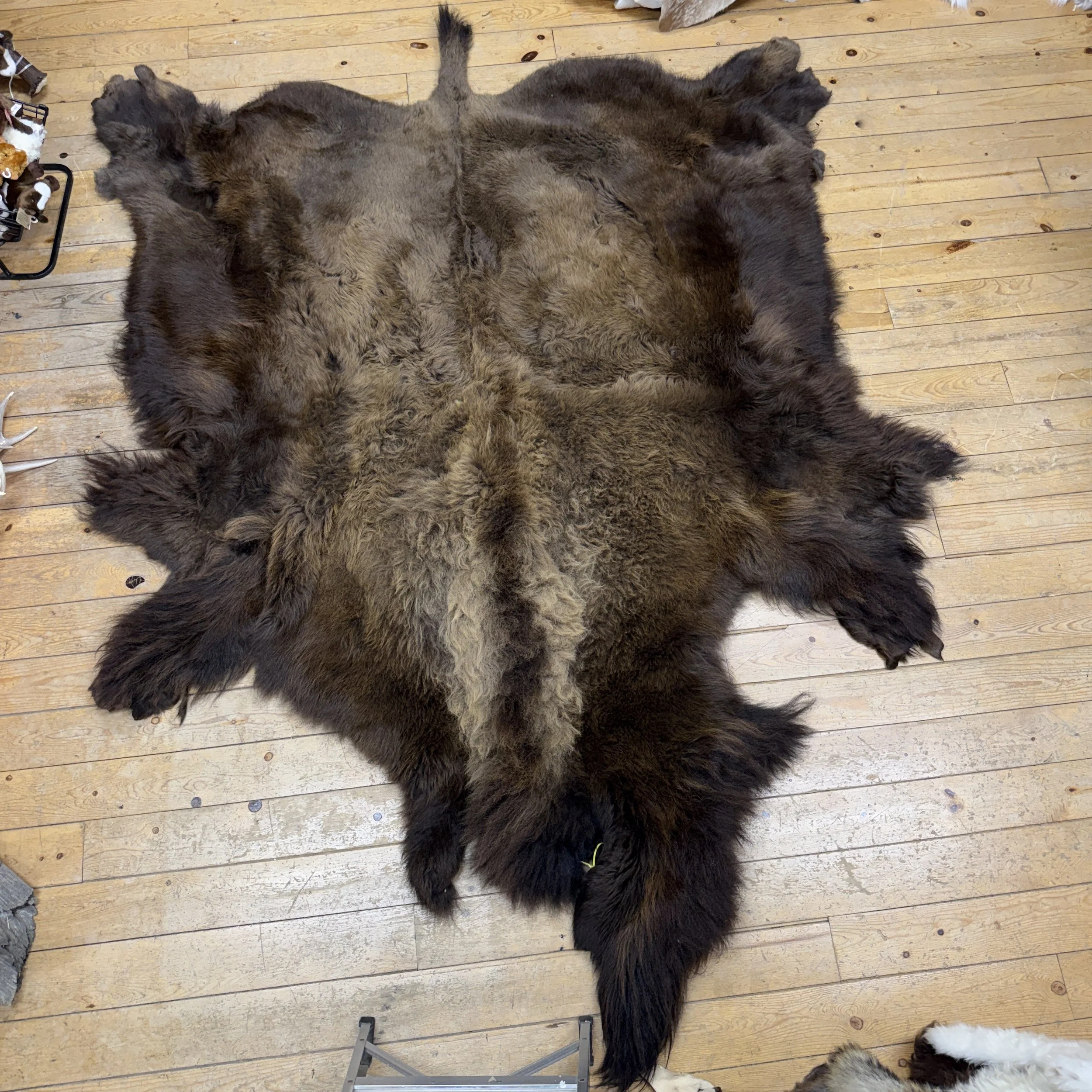 Buffalo Hide #25