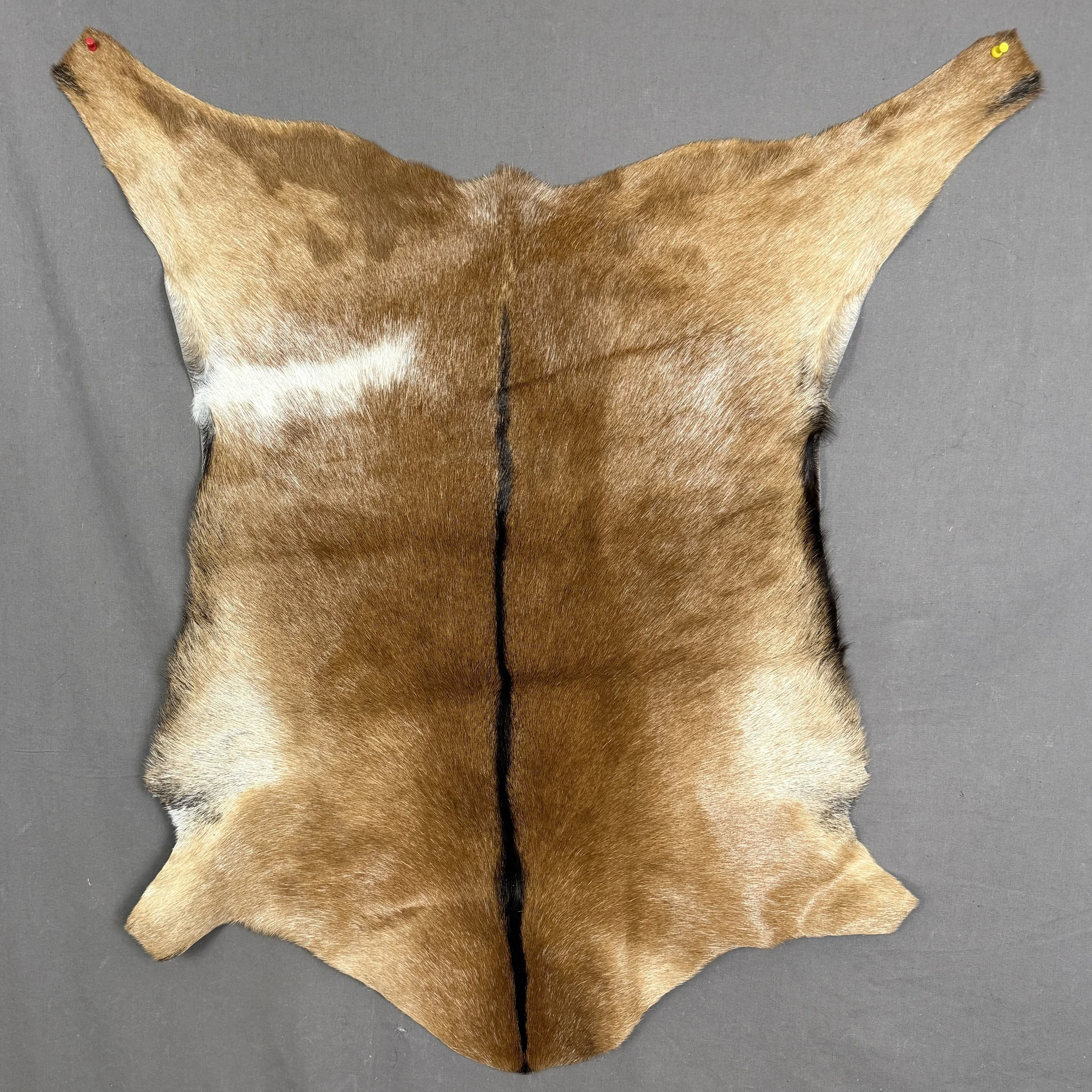 Goat Hide
