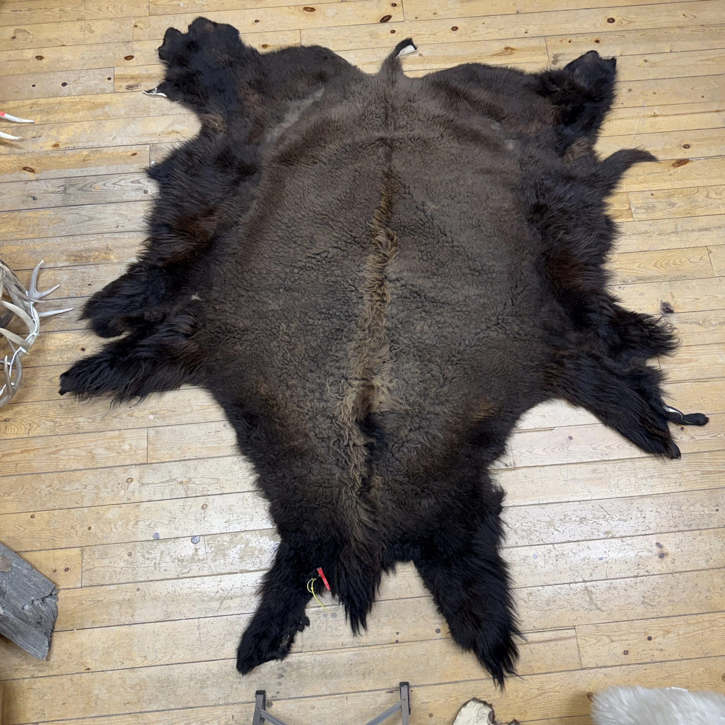 Buffalo hide  #103