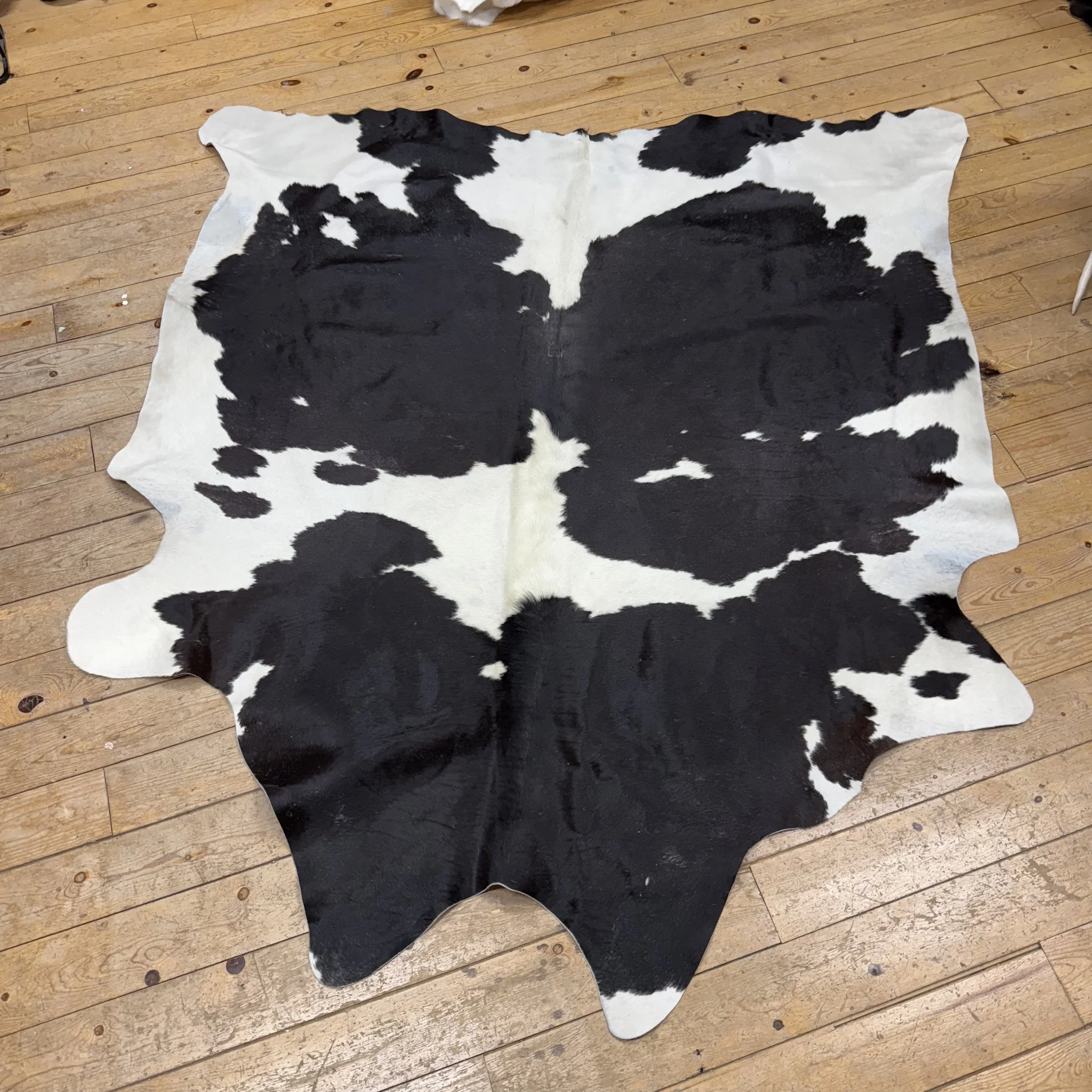 Cow Hide #23