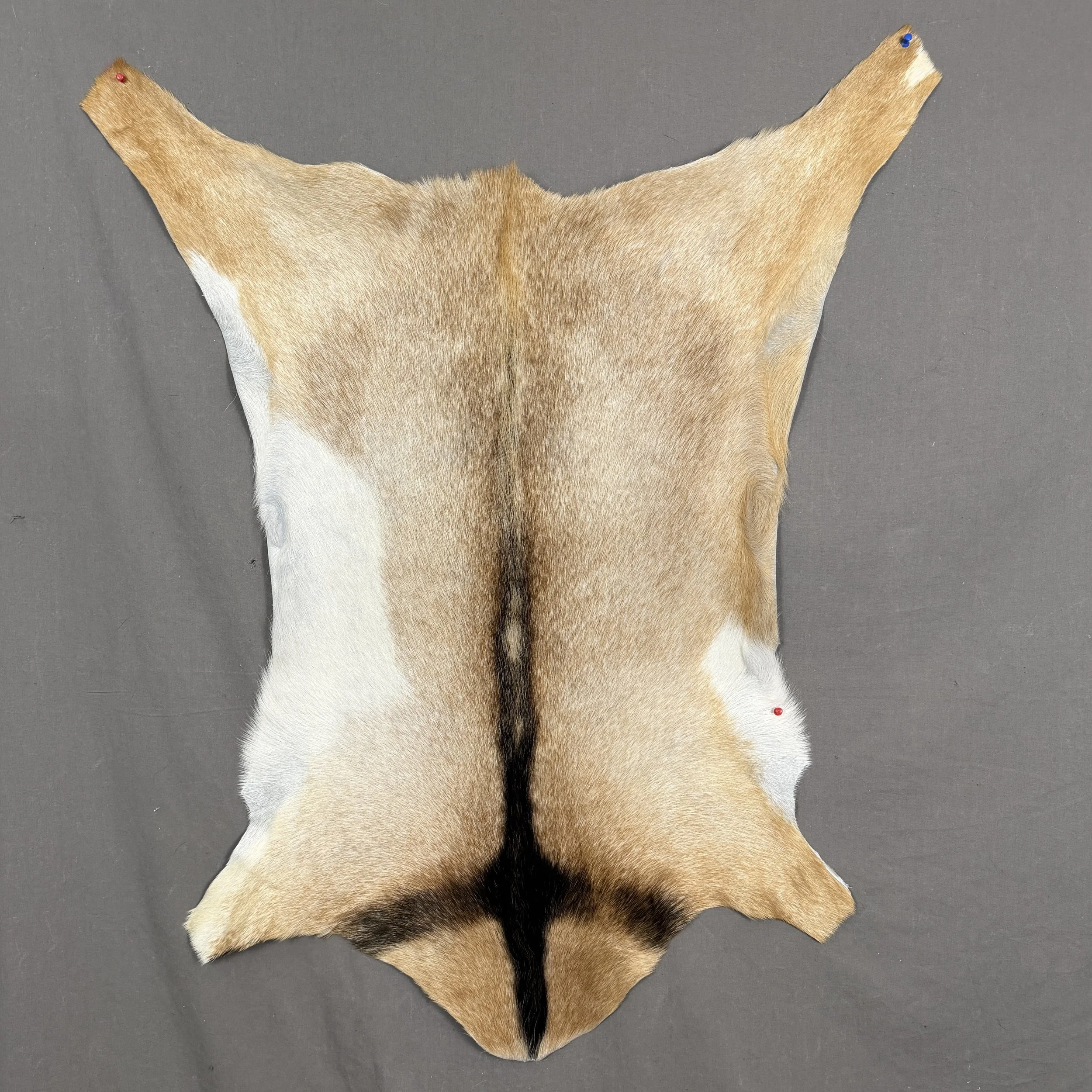 Goat Hide