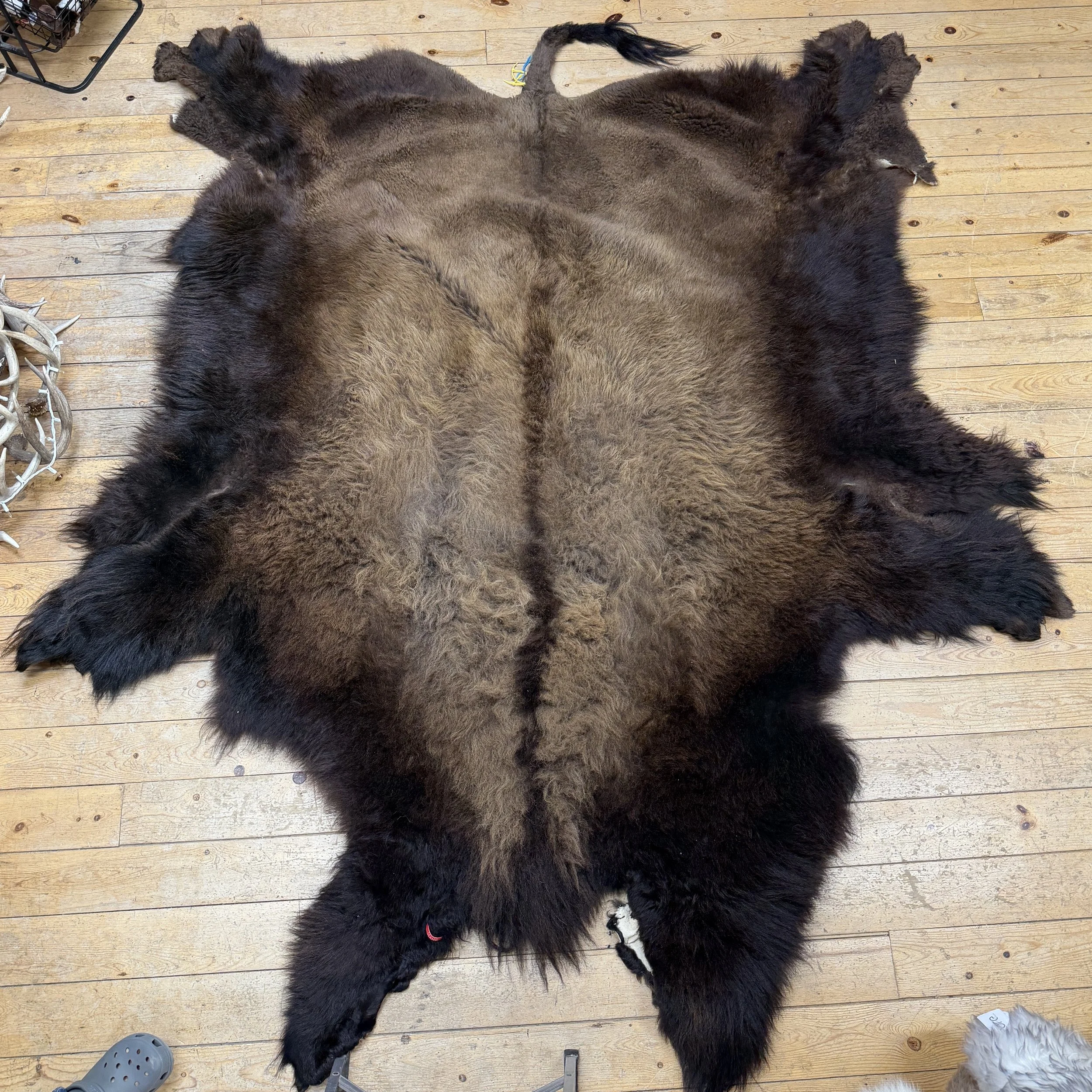Buffalo Hide #7