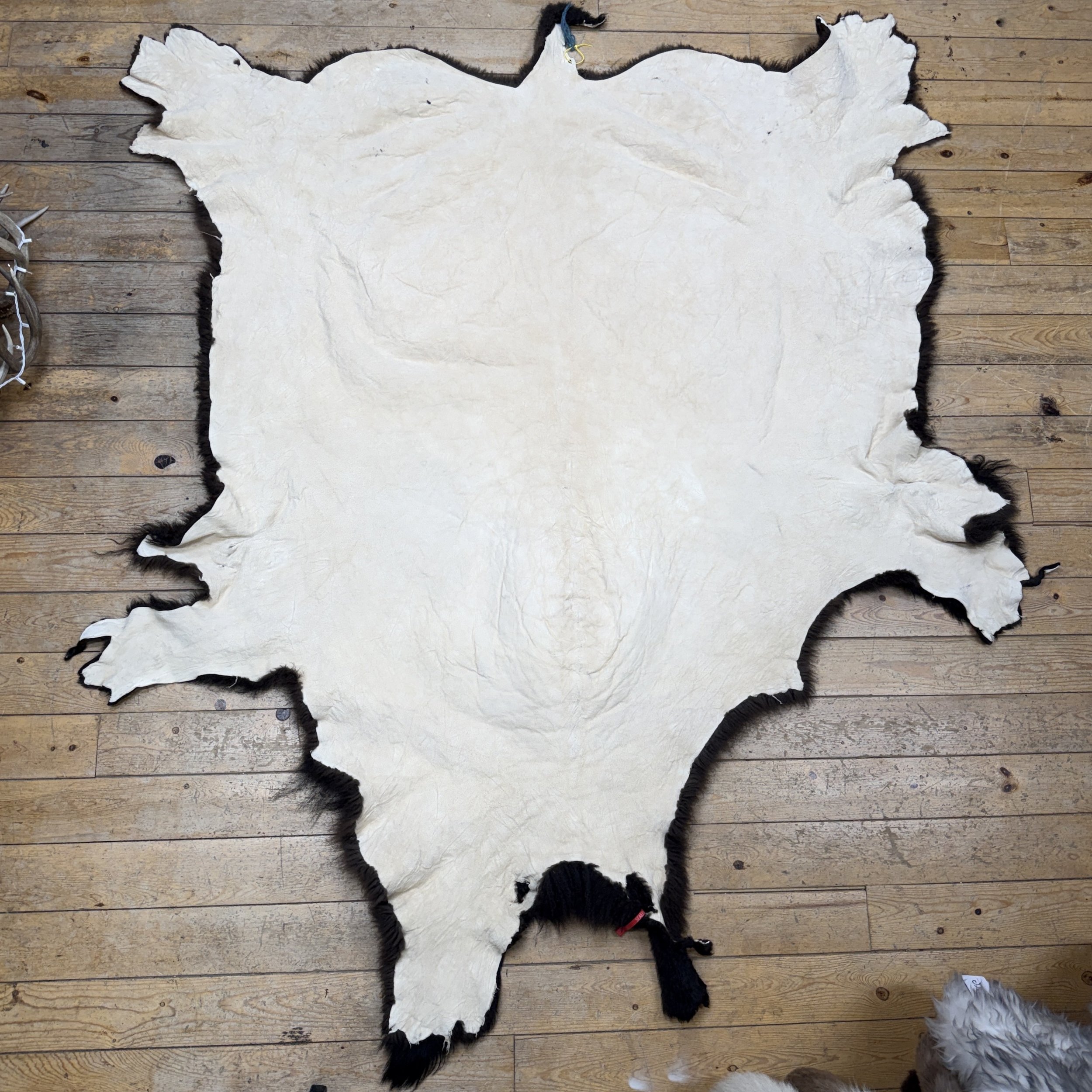 Buffalo hide  #102