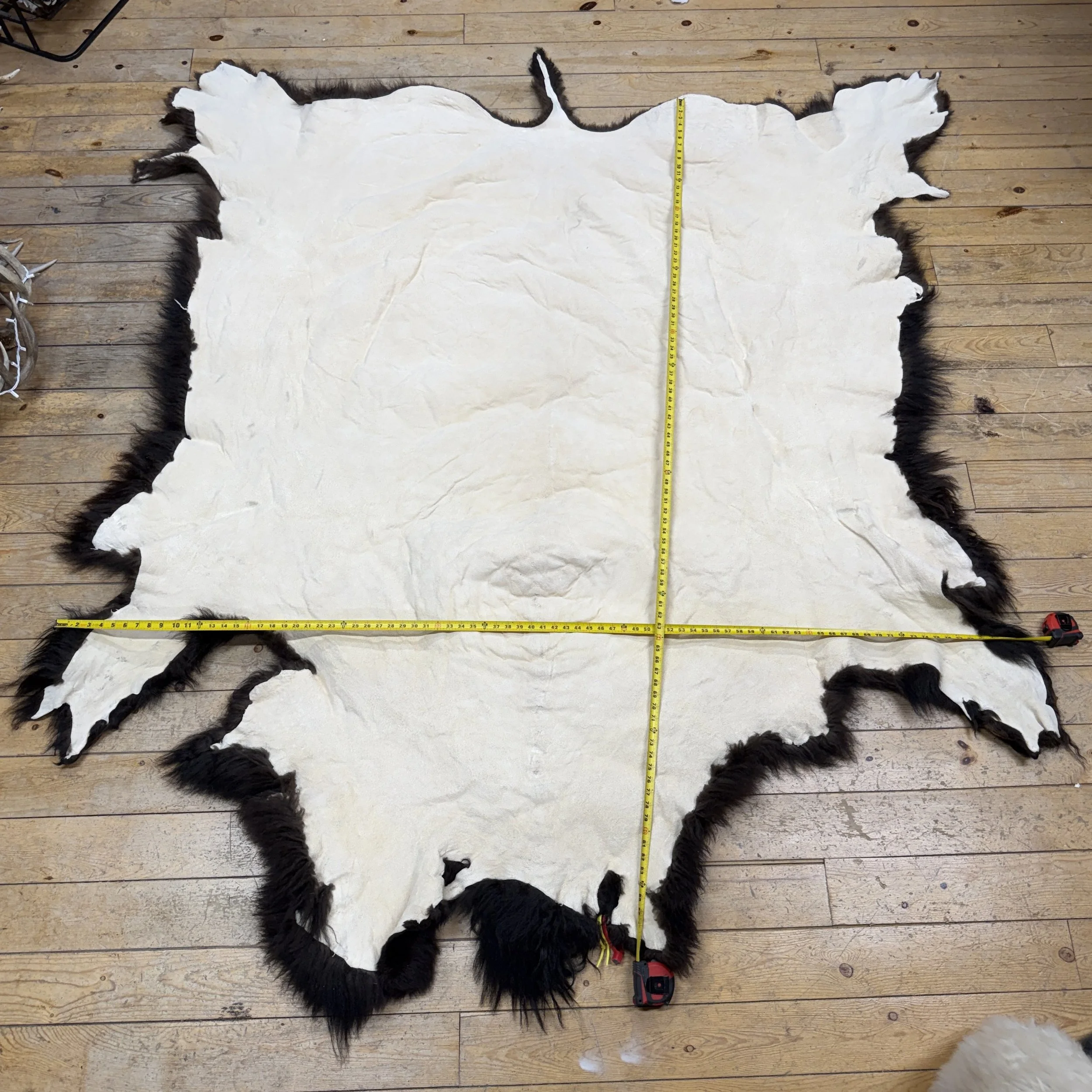 bison hide