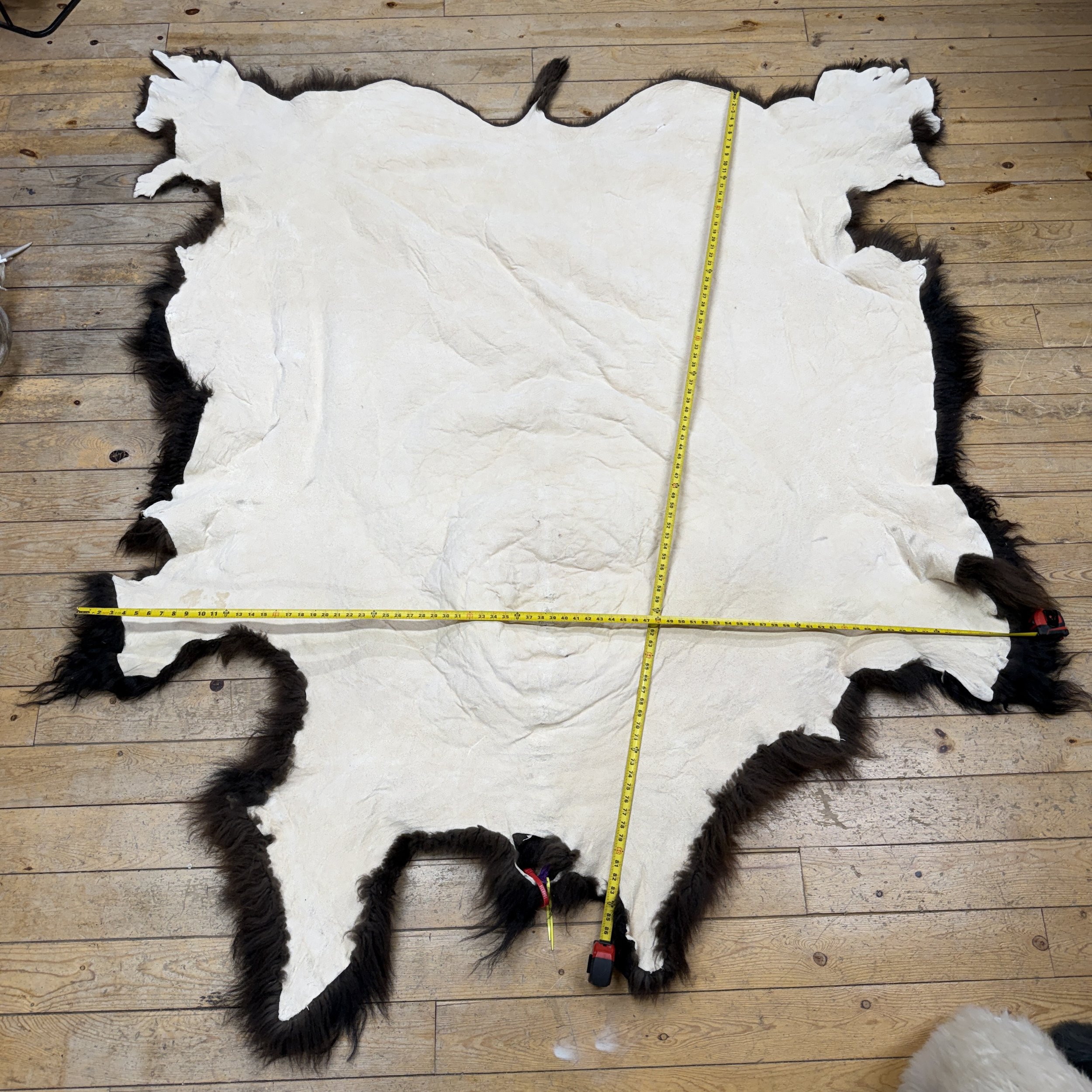 bison hide