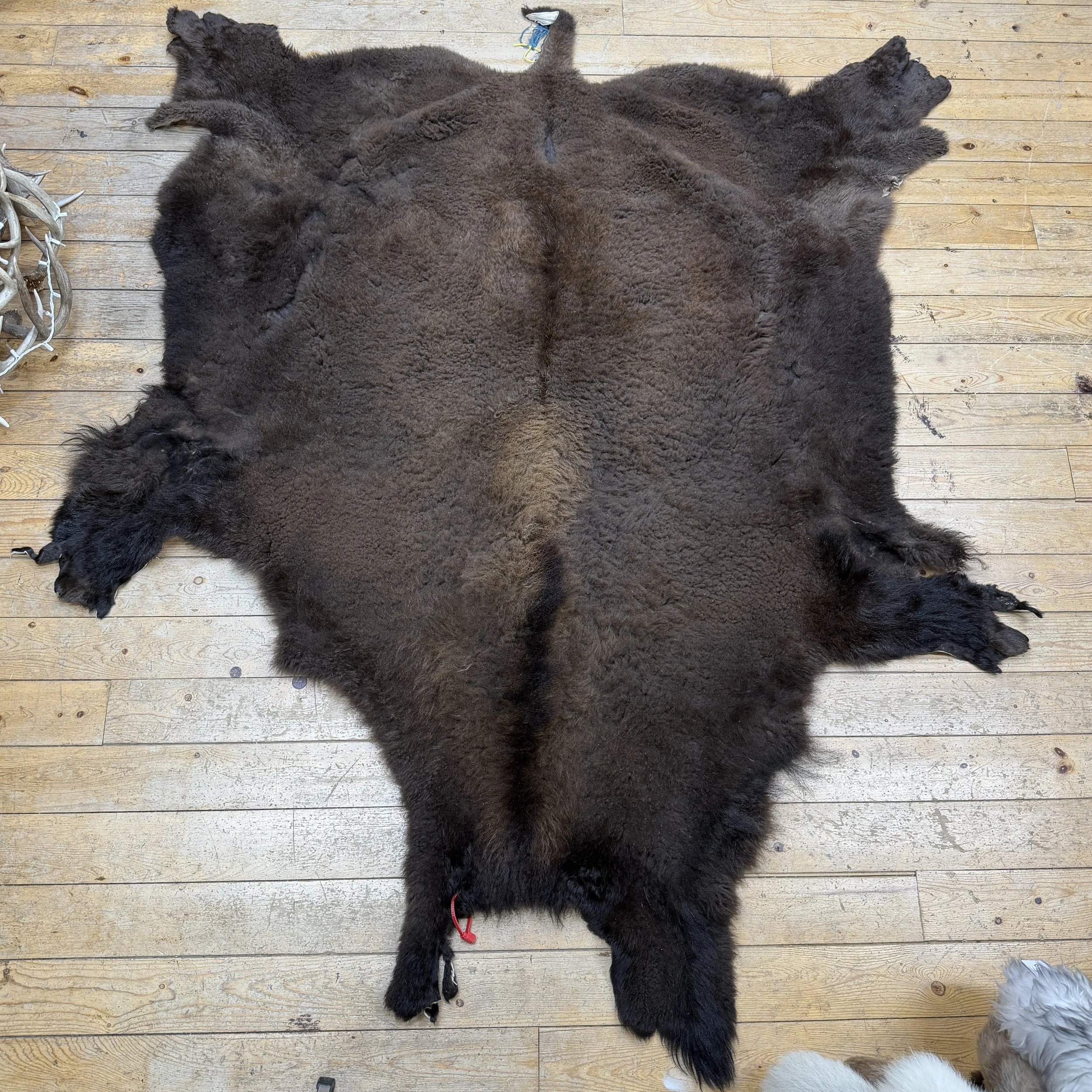 Buffalo hide  #102