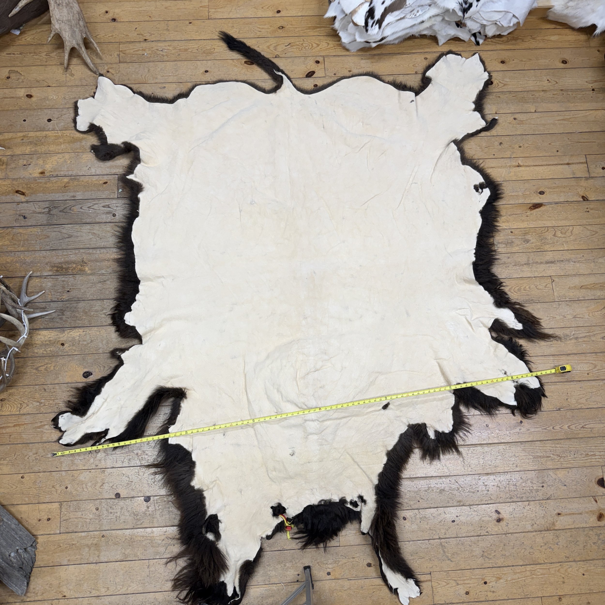 Buffalo Hide