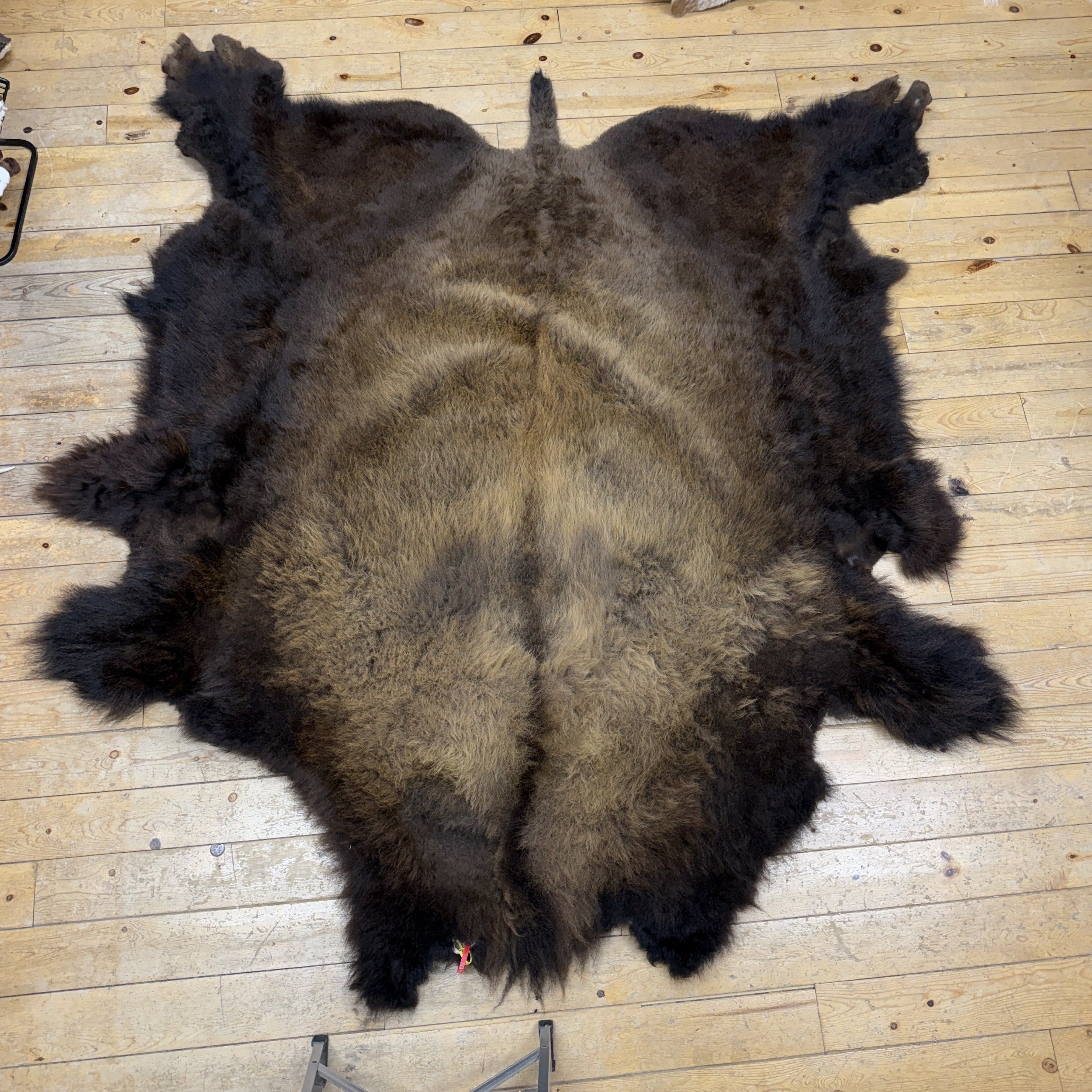 Buffalo Hide #7