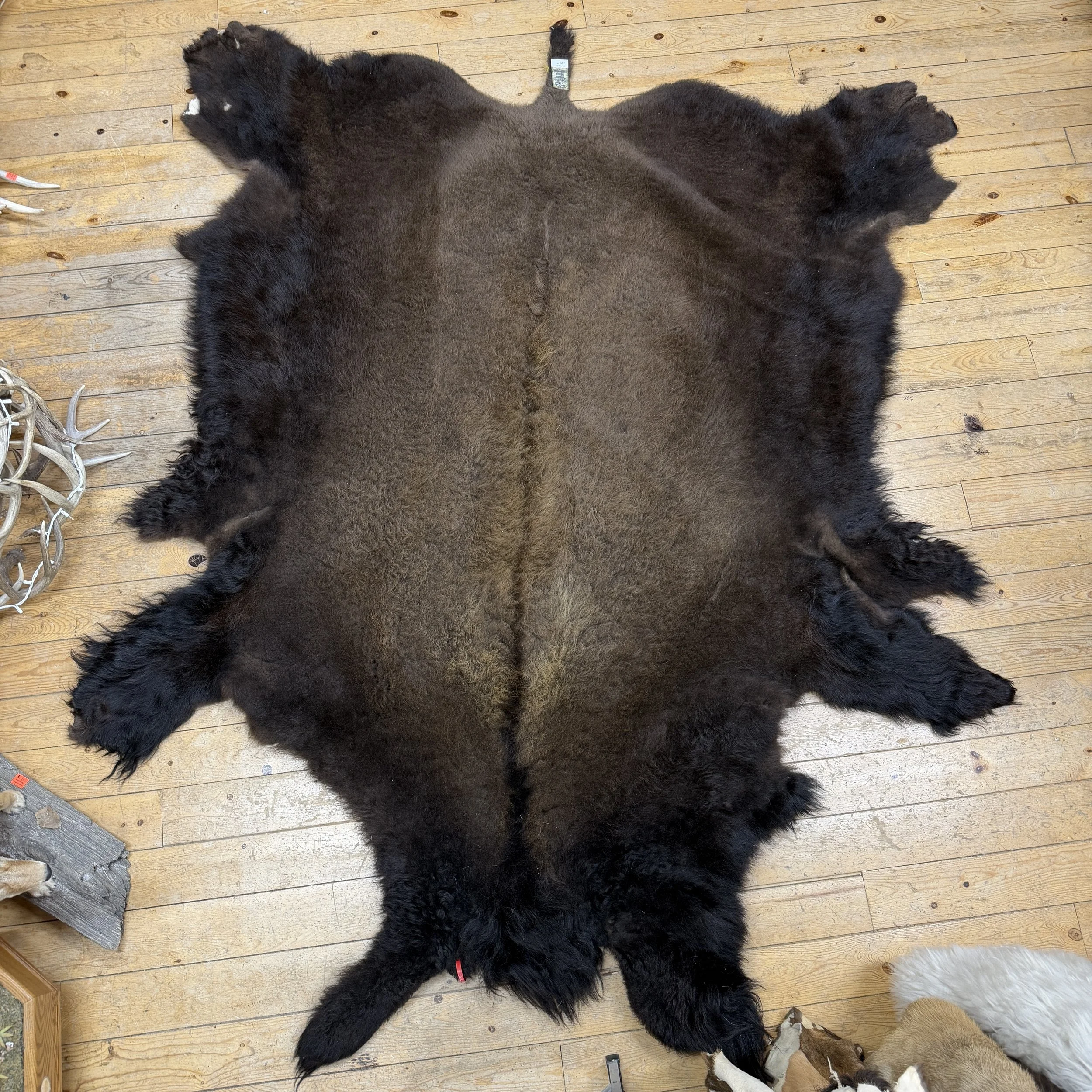 Buffalo Hide #27