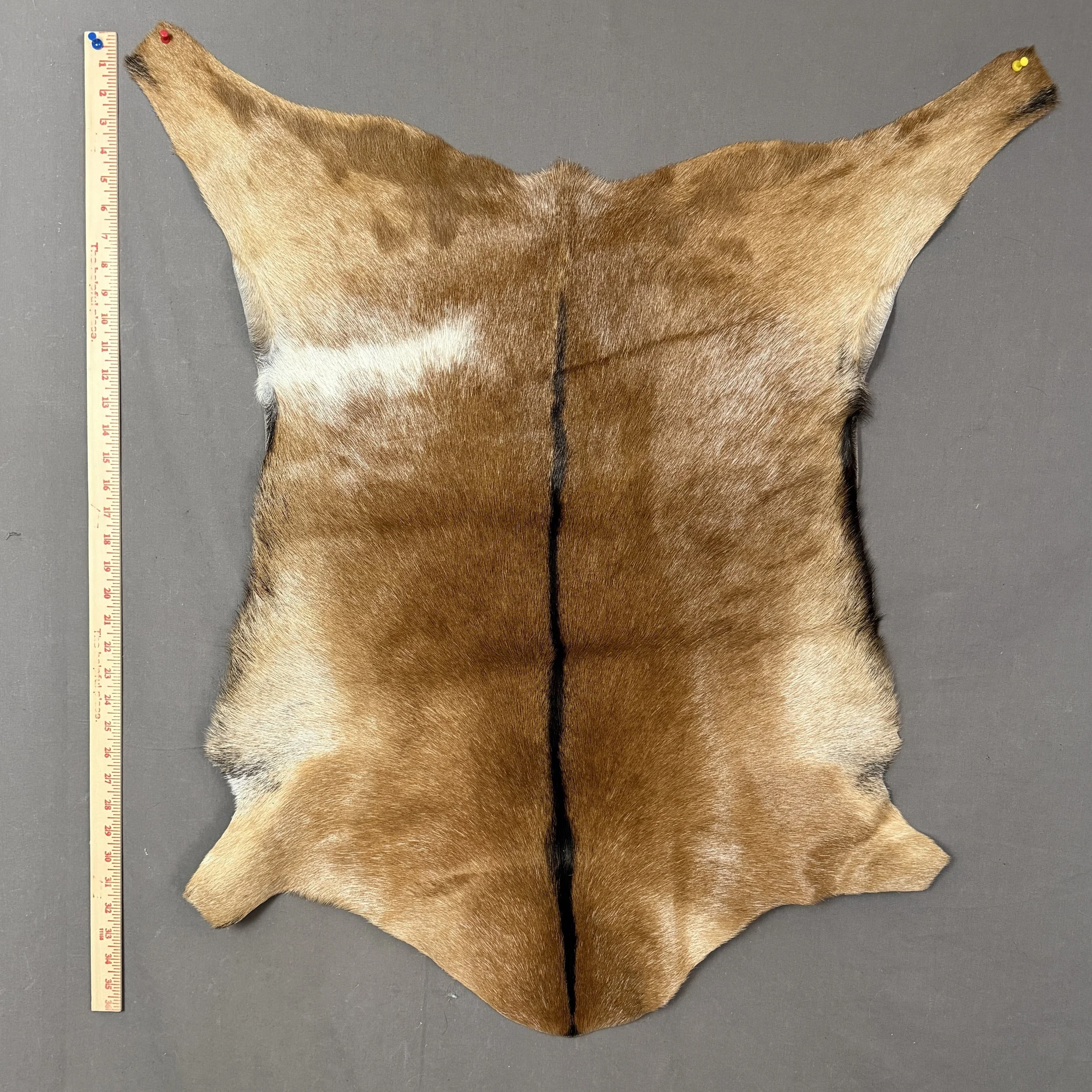 Goat Hide