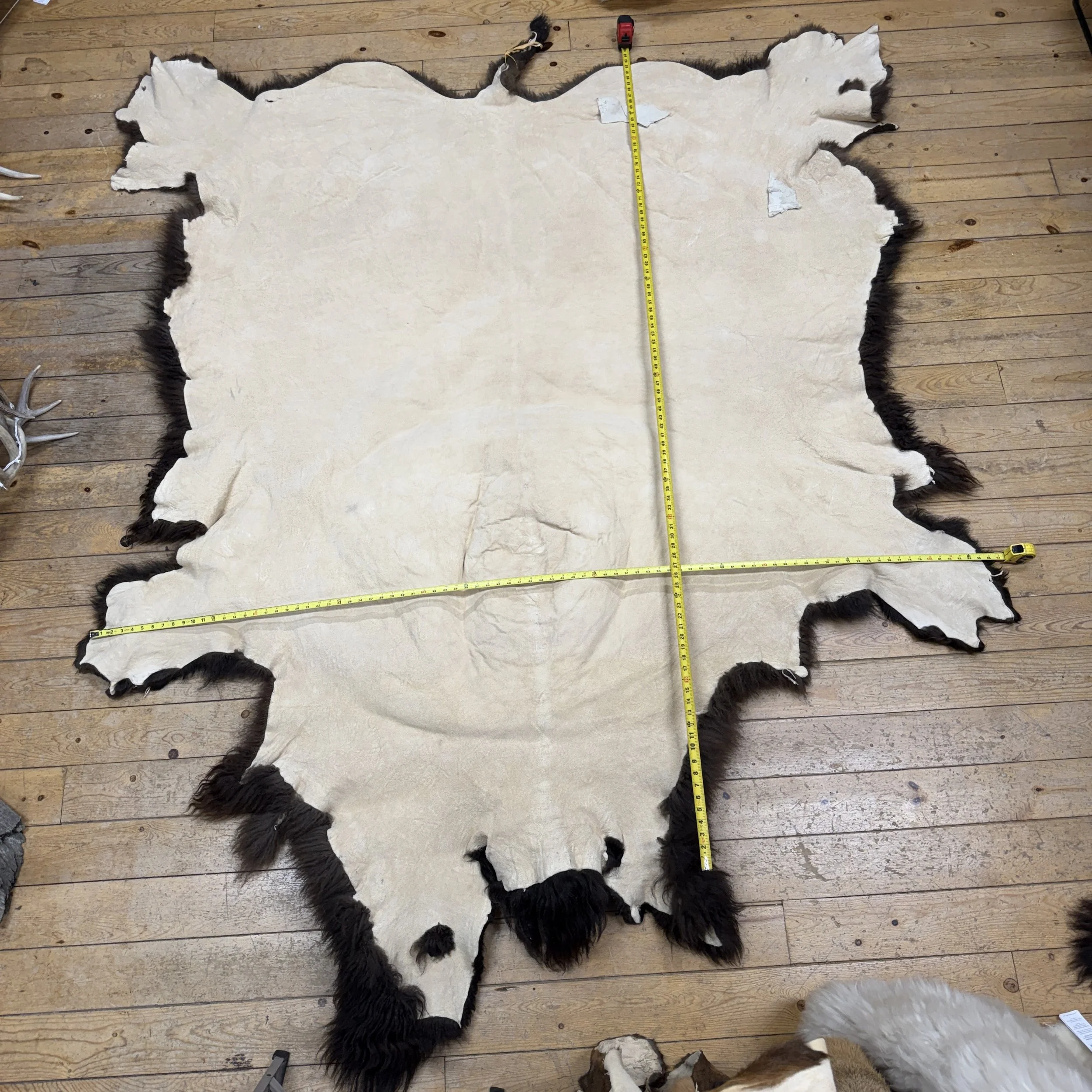 Buffalo Hide