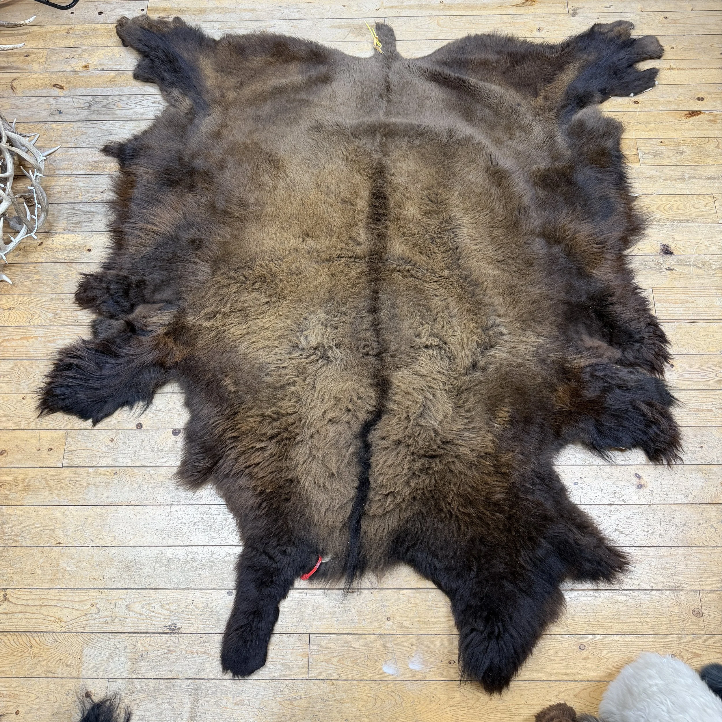 Buffalo Hide #22