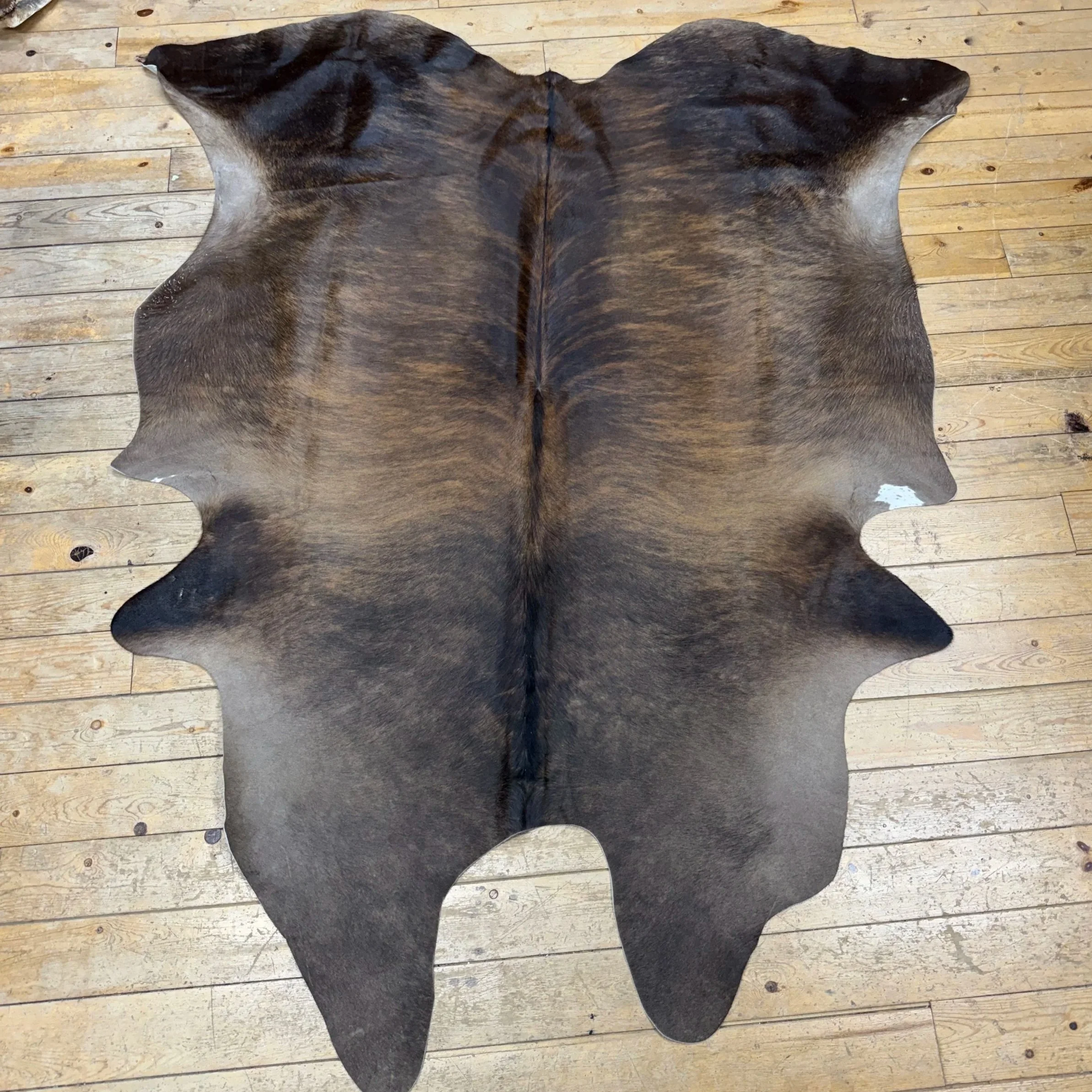 Cow Hide #29