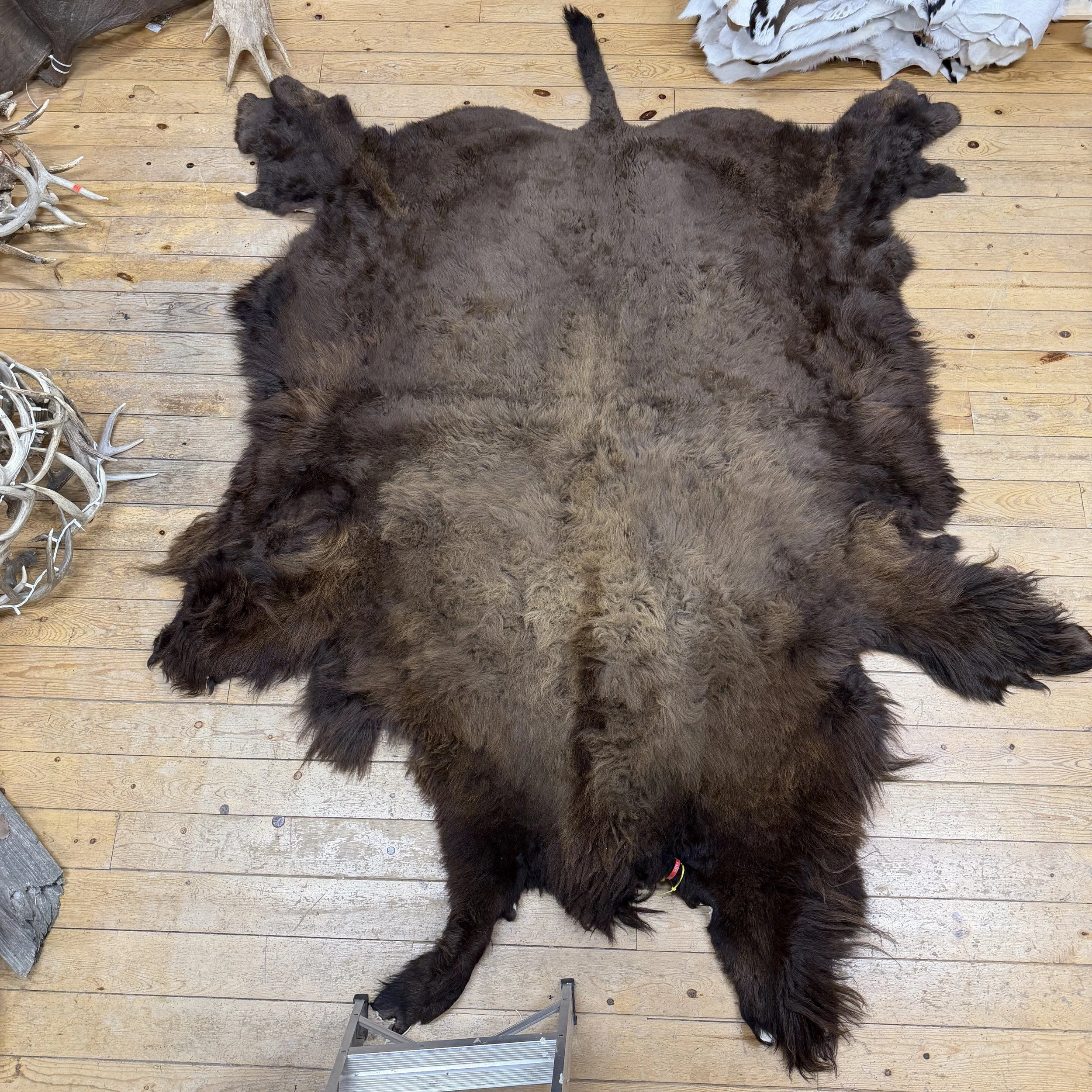 Buffalo Hide #6