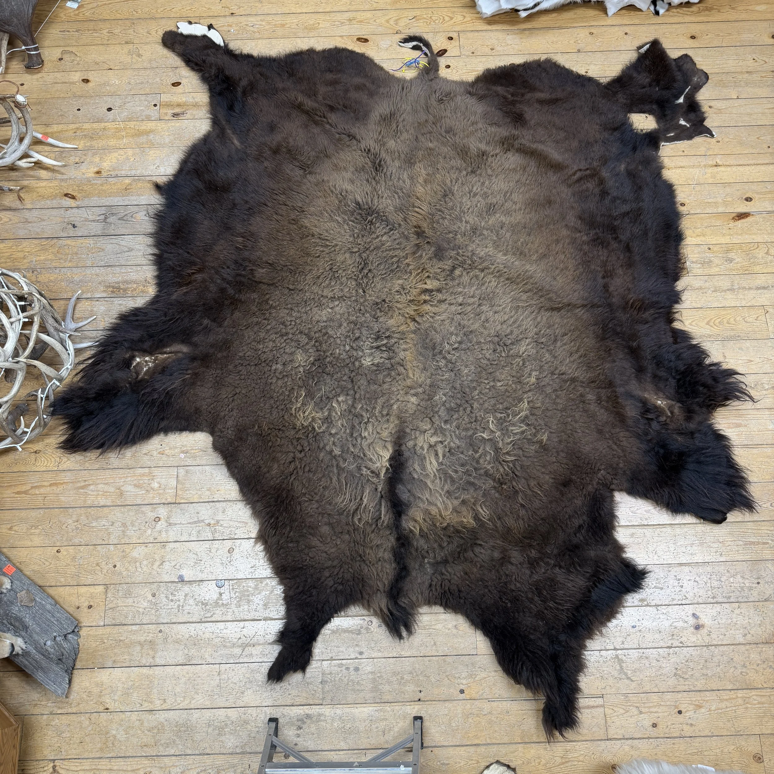Buffalo hide  #105