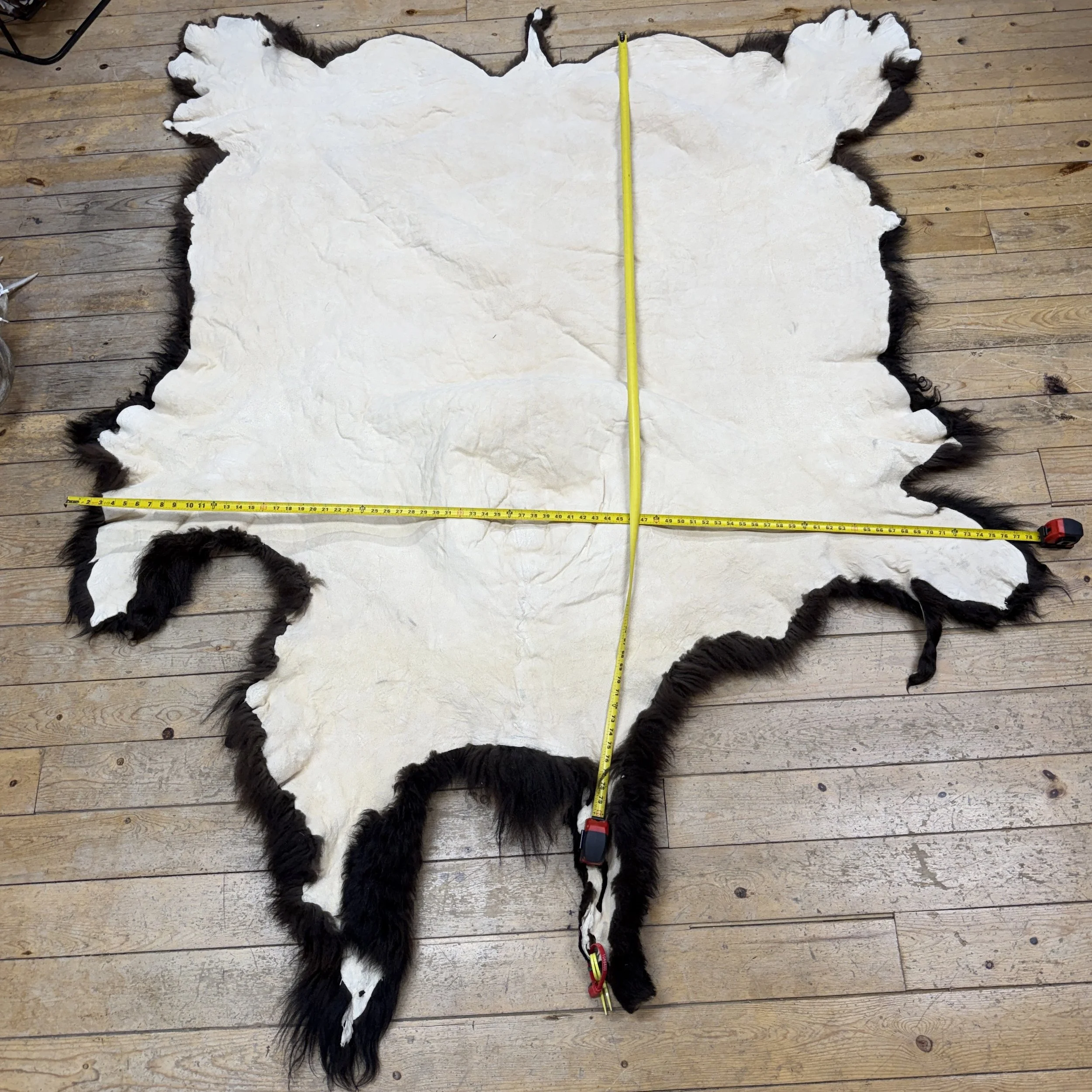 bison hide