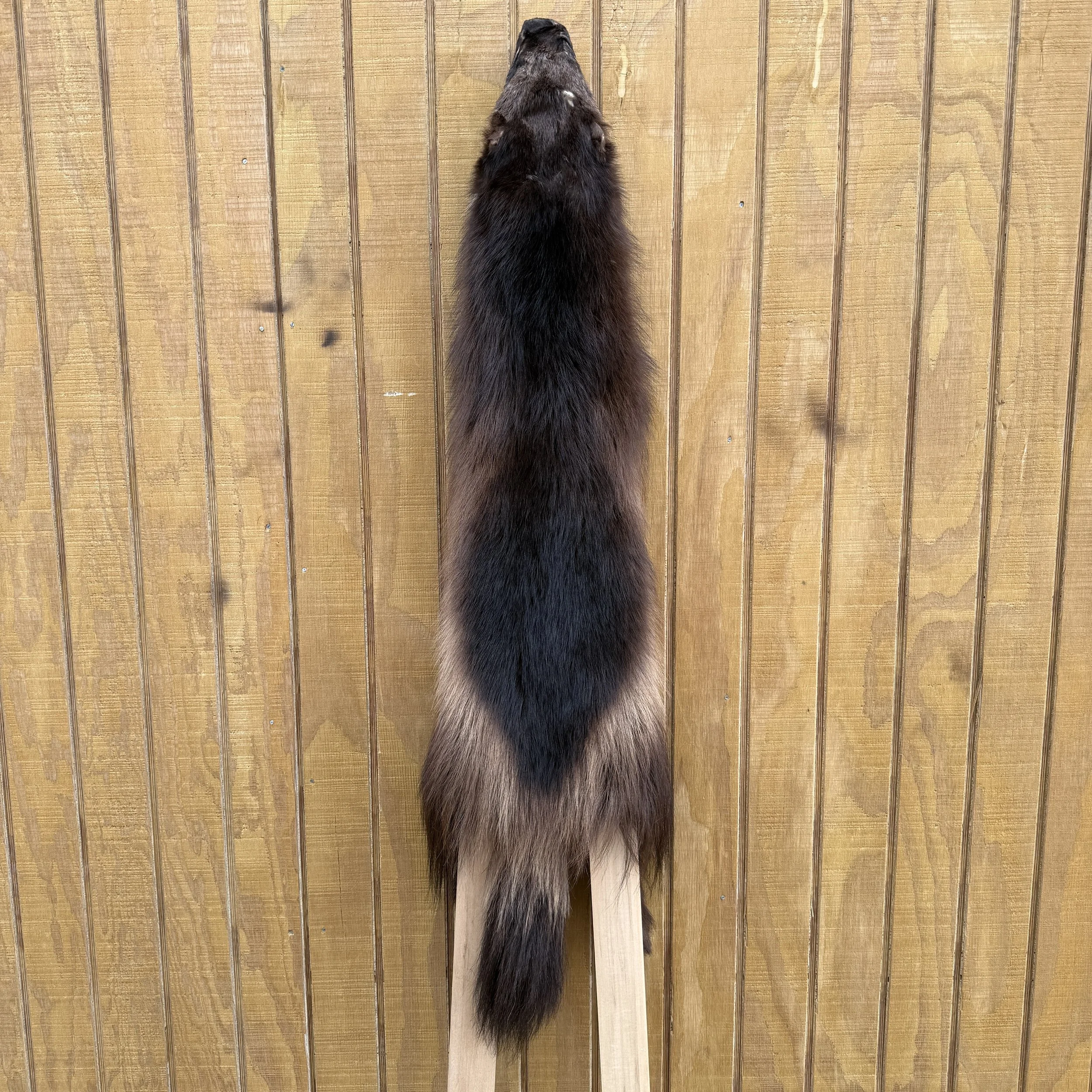 Wolverine hide