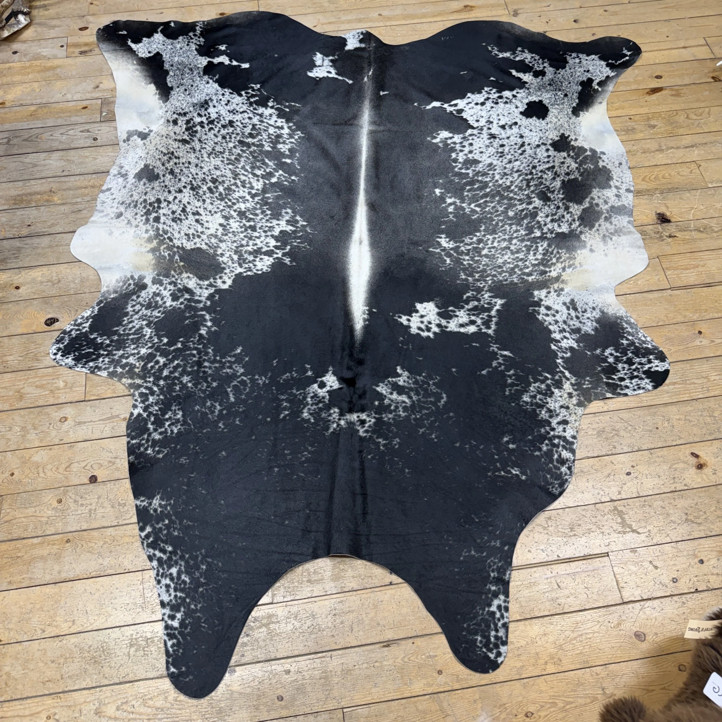 Cow Hide #19
