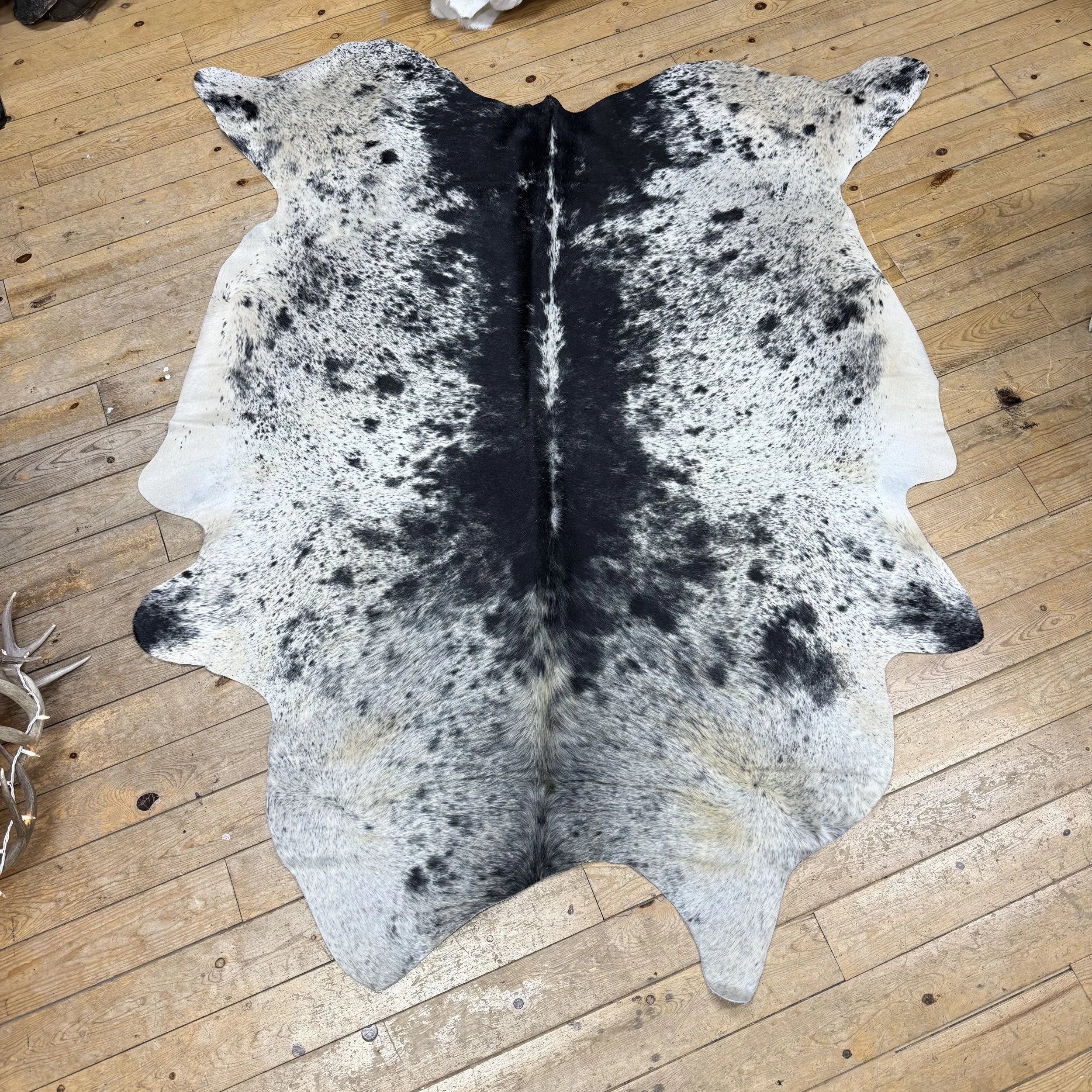 Cow Hide #6