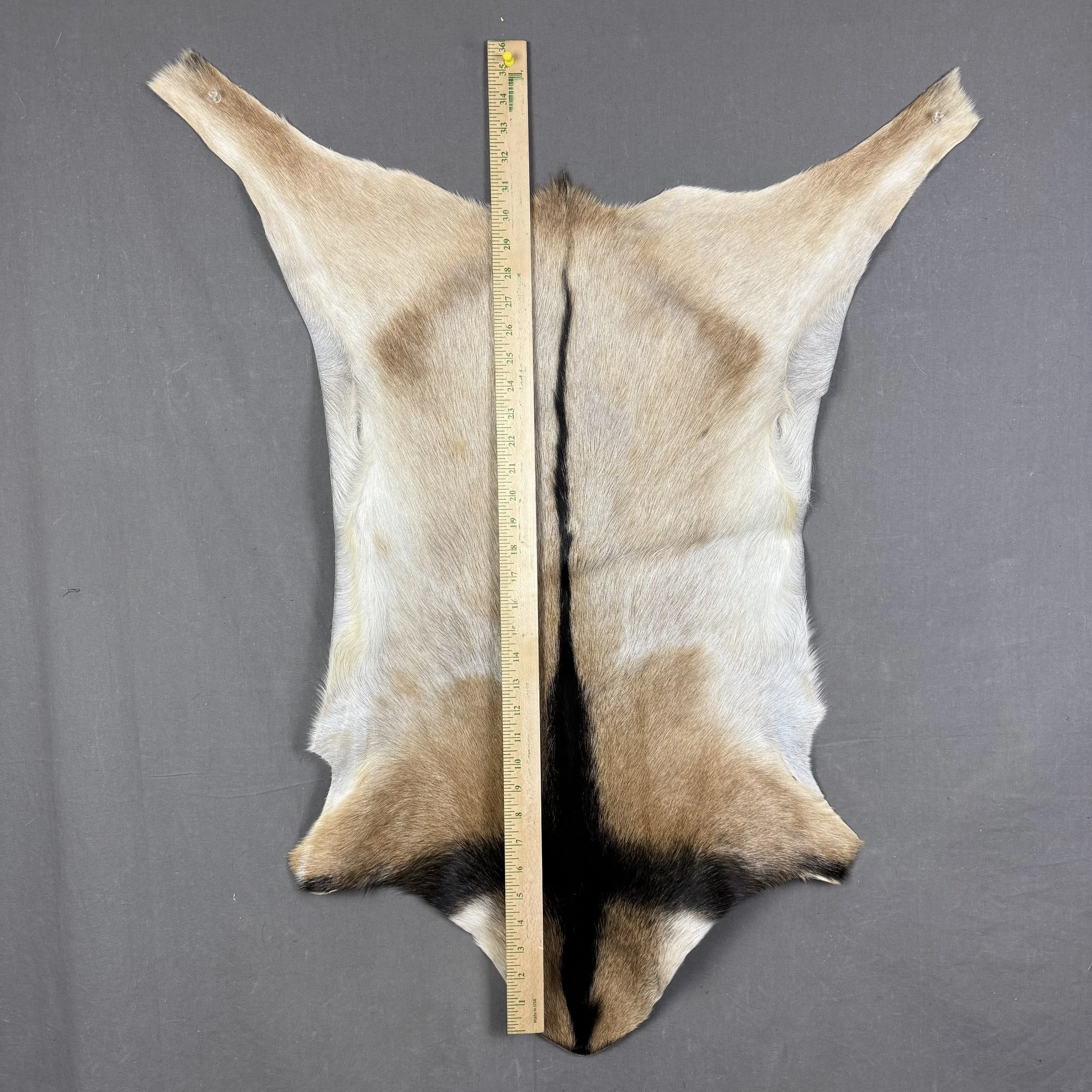Goat Hide