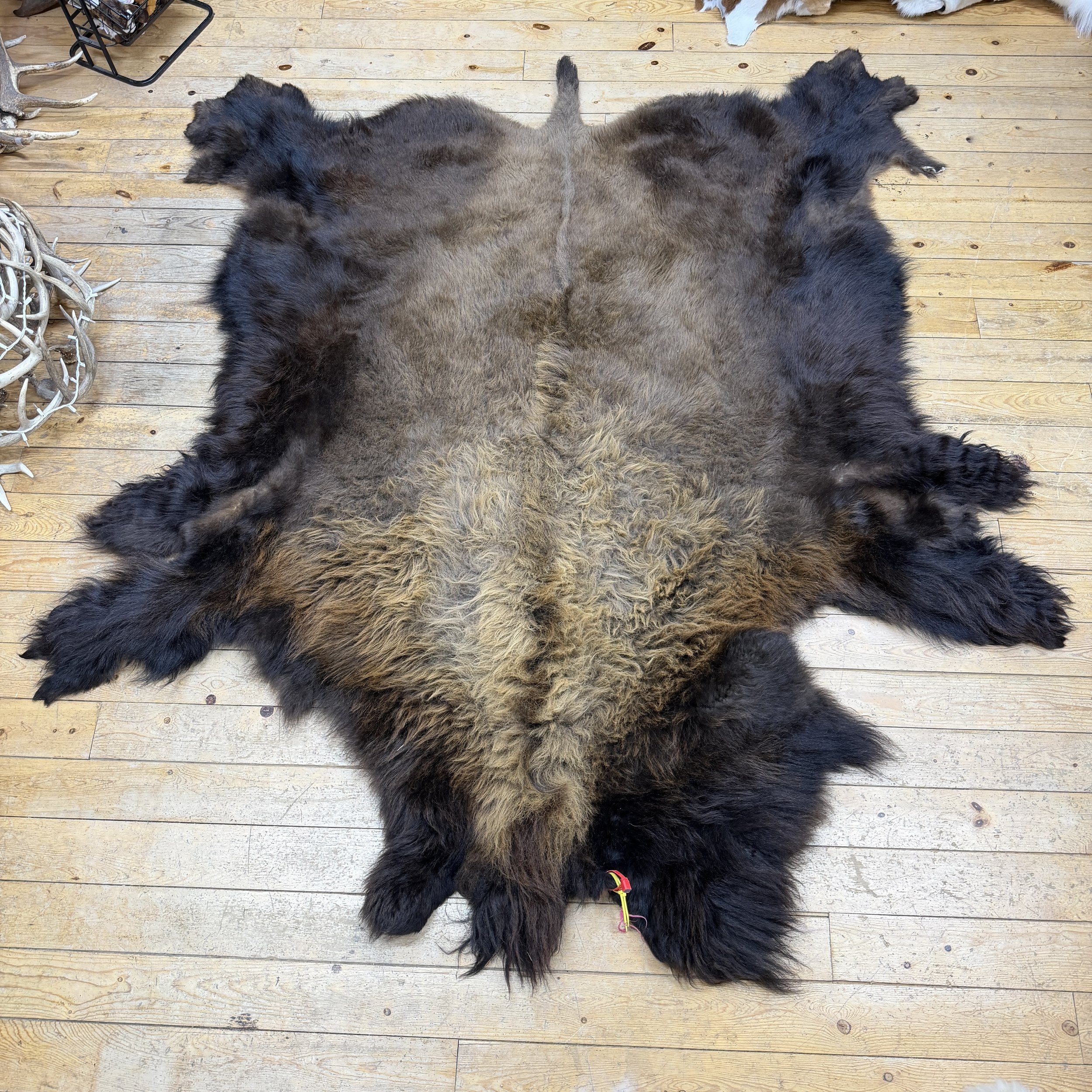bison skin
