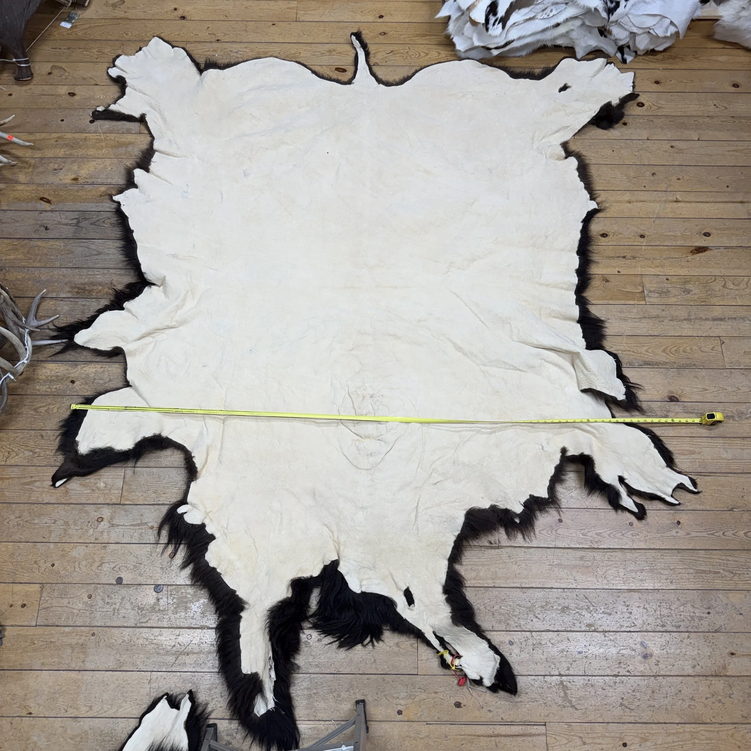 Buffalo Hide