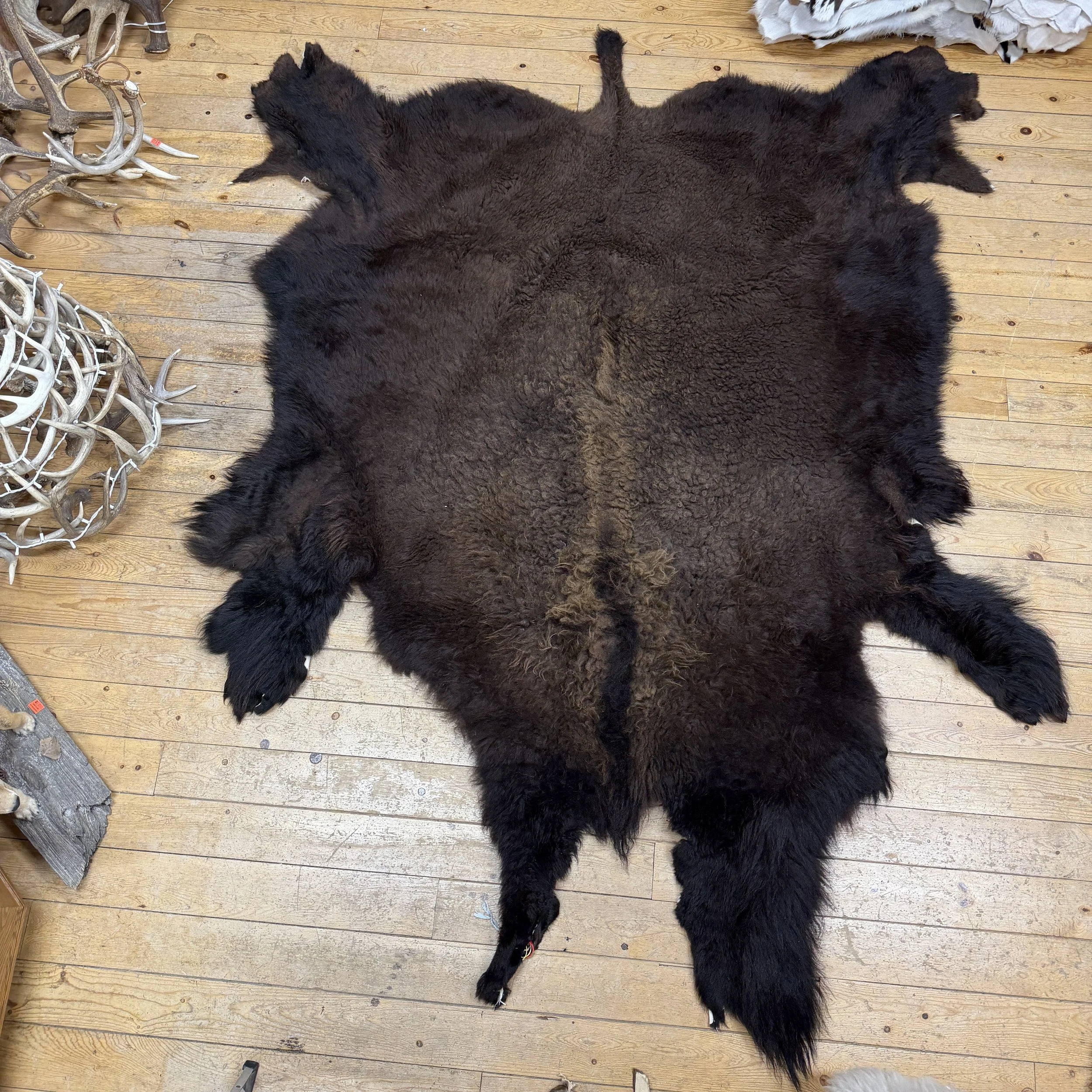 Buffalo hide  #101
