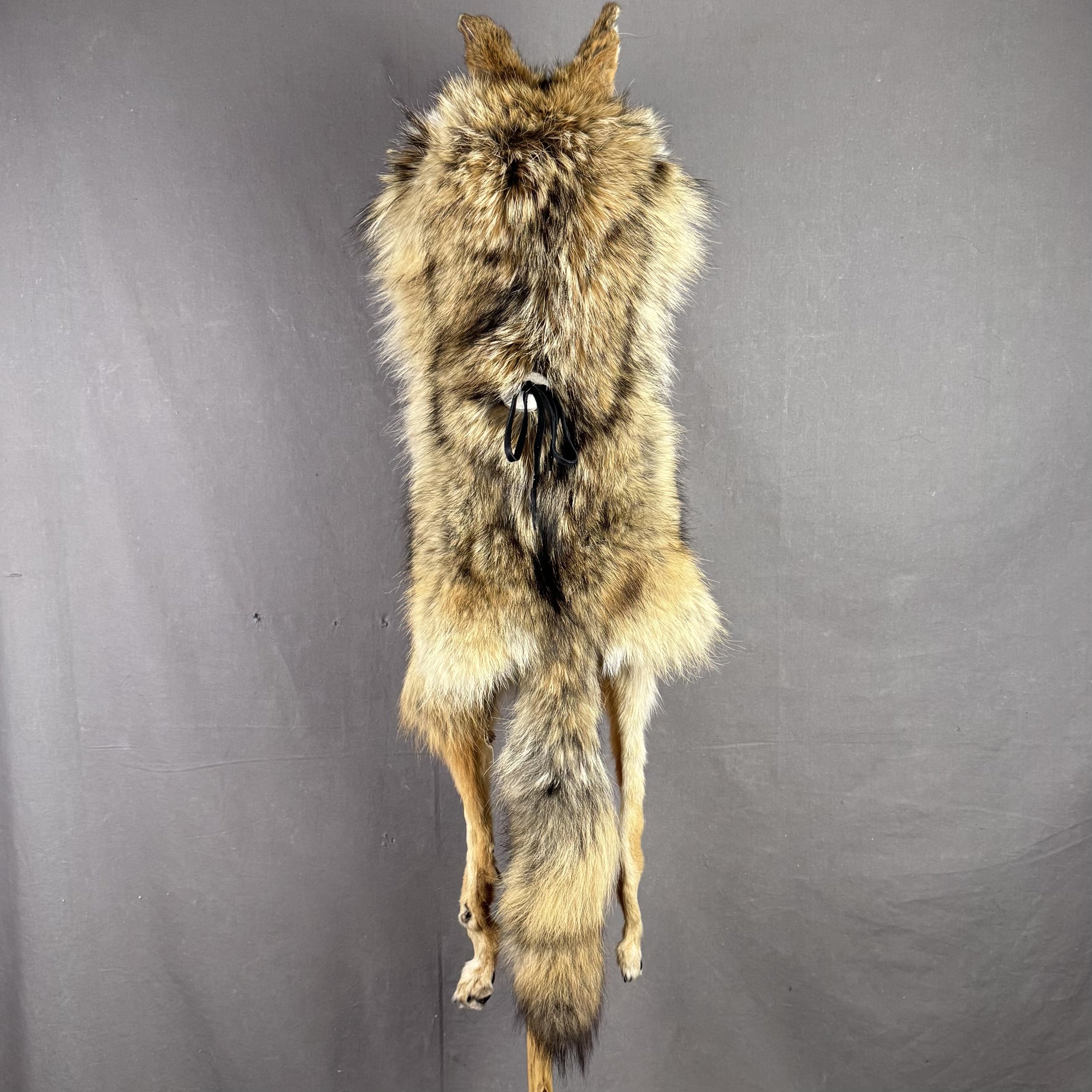 Coyote Mountain Man Hat with bill, face, tail and feet