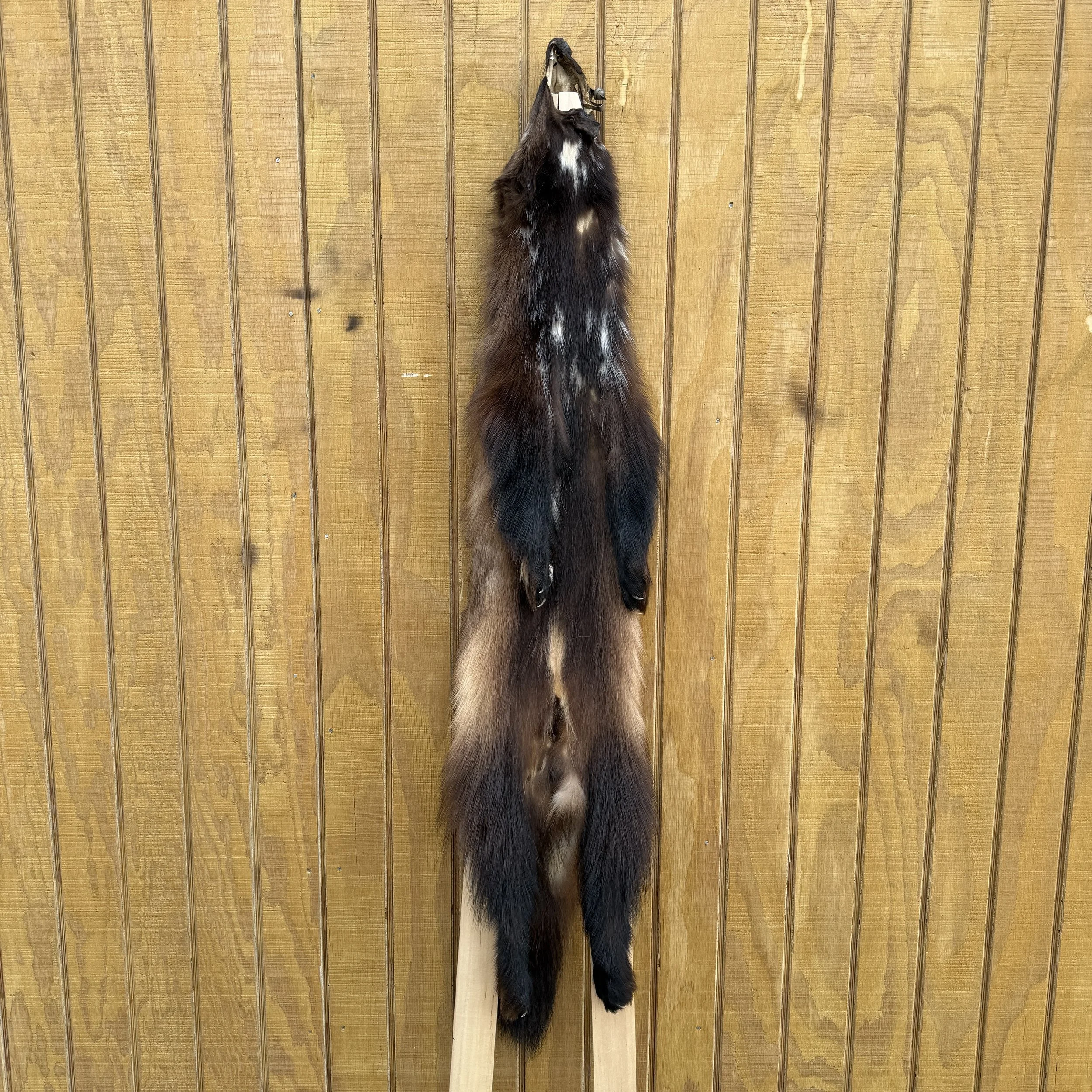 Wolverine hide