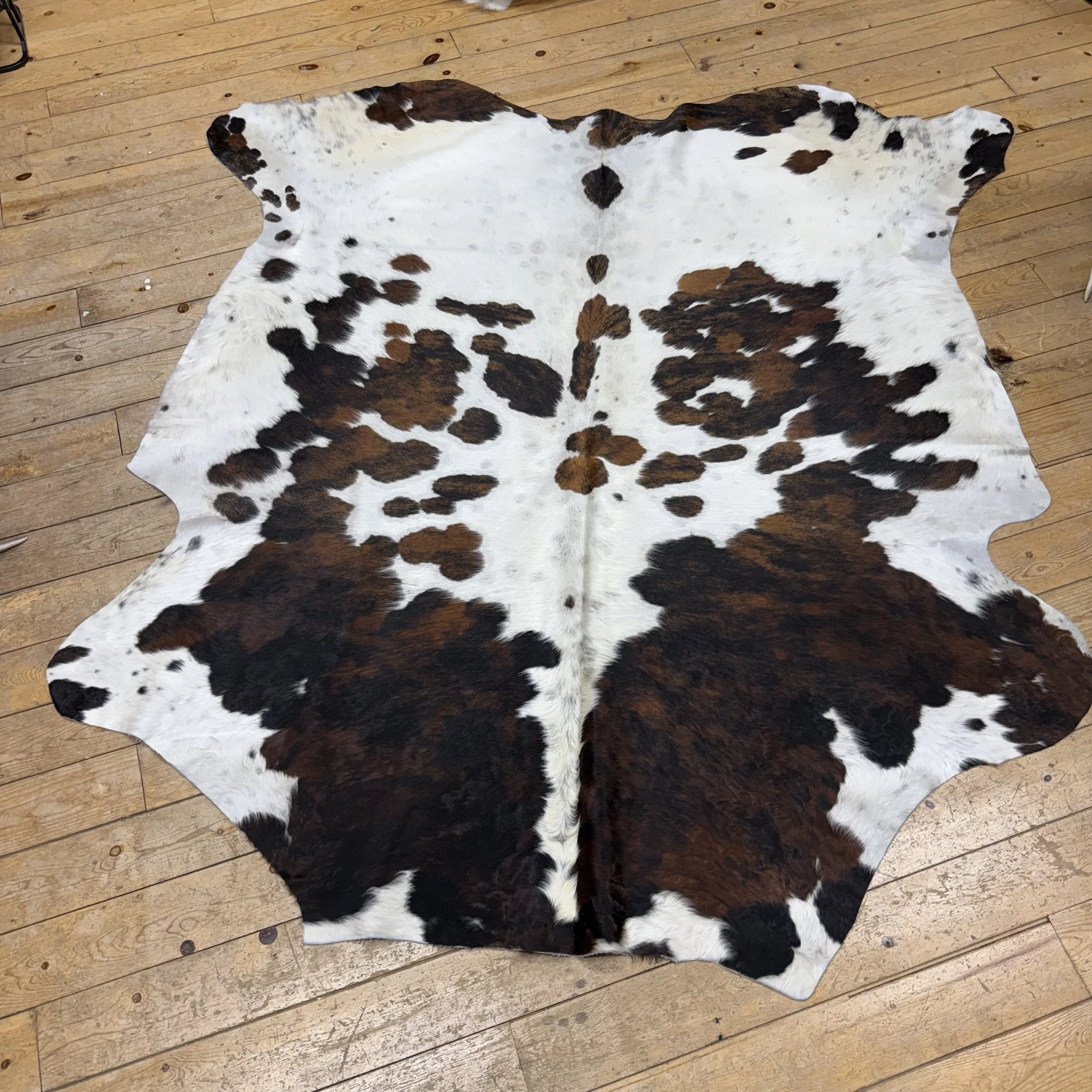 Cow Hide #25