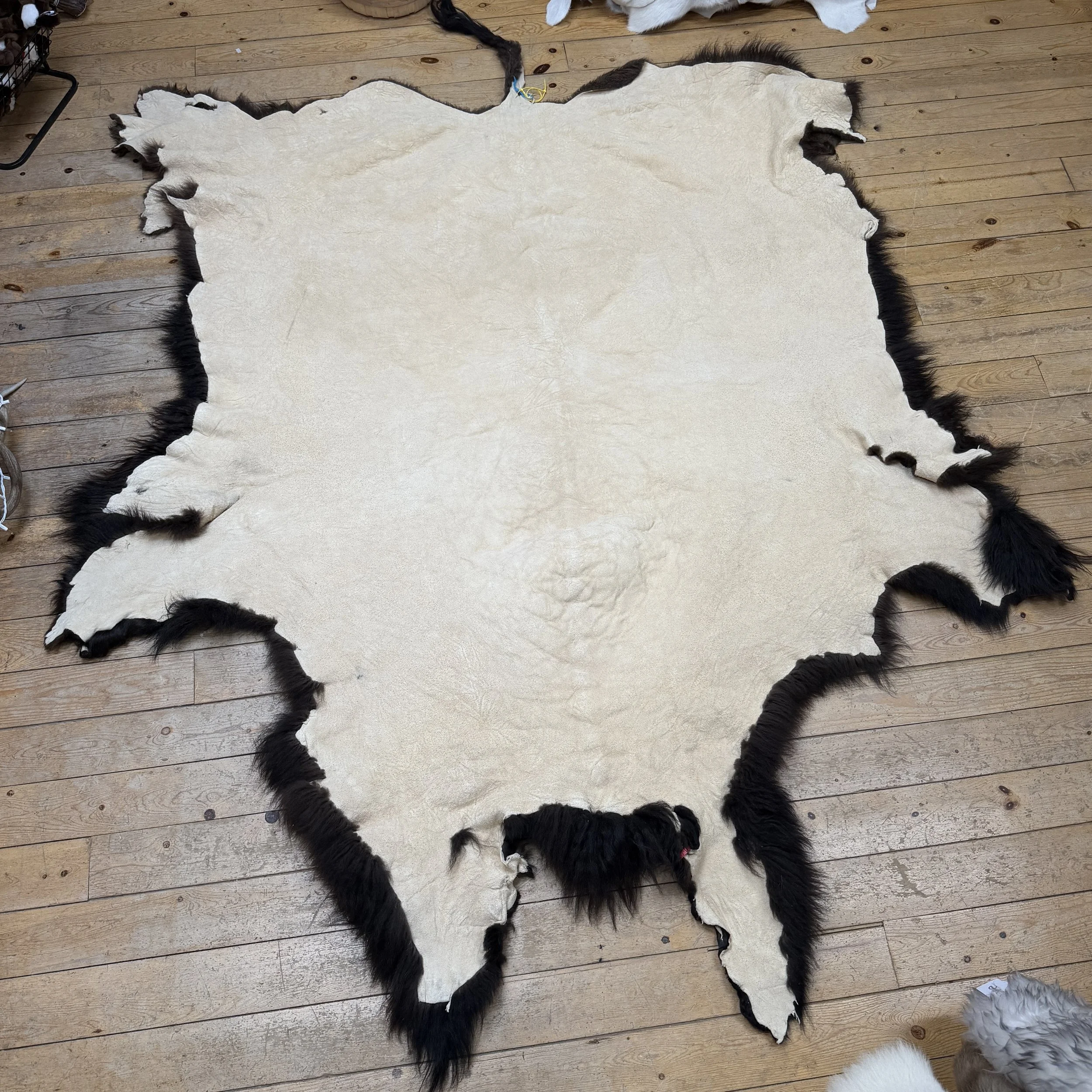 Buffalo Hide #7