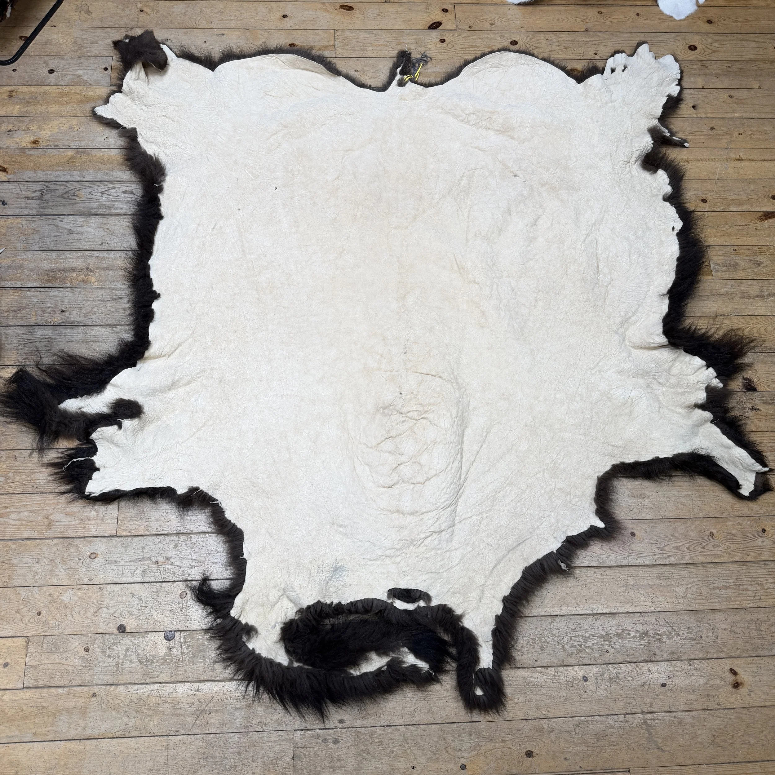 Buffalo hide #105
