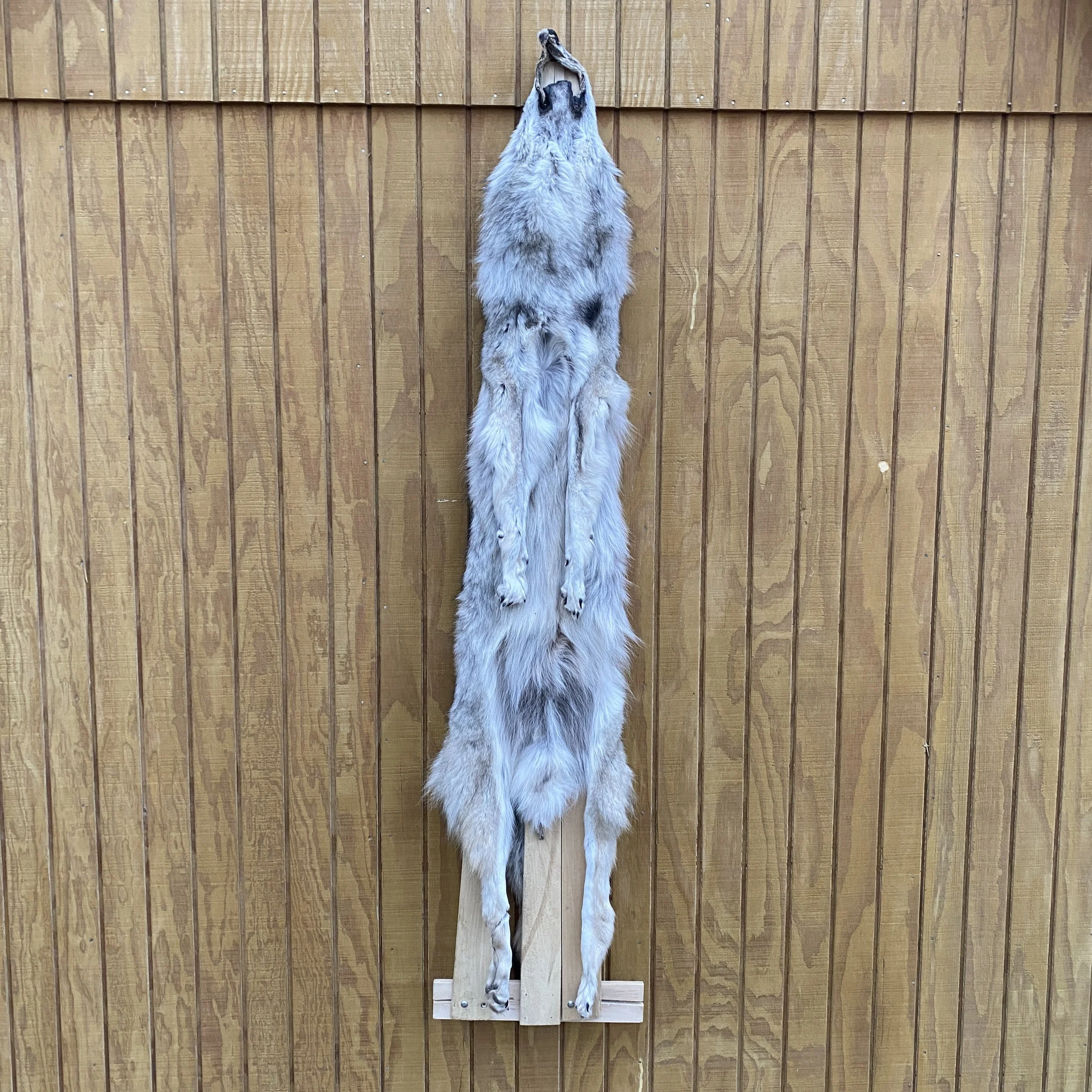wolf hide