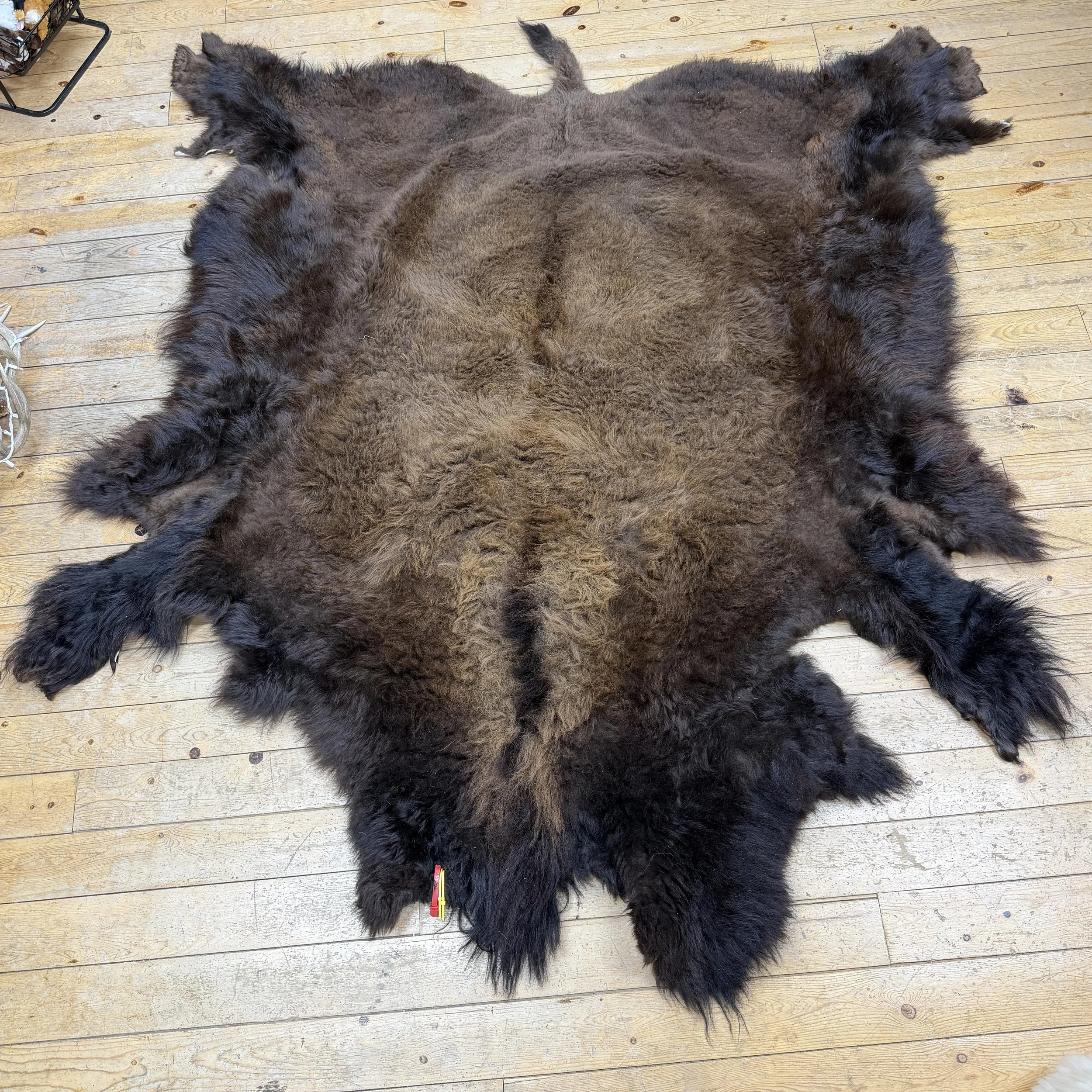 bison hide
