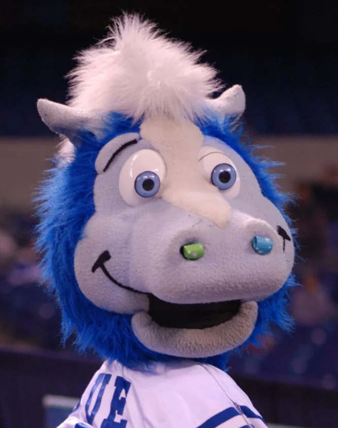 I guess he has party streamers in his nose? Still dumb.