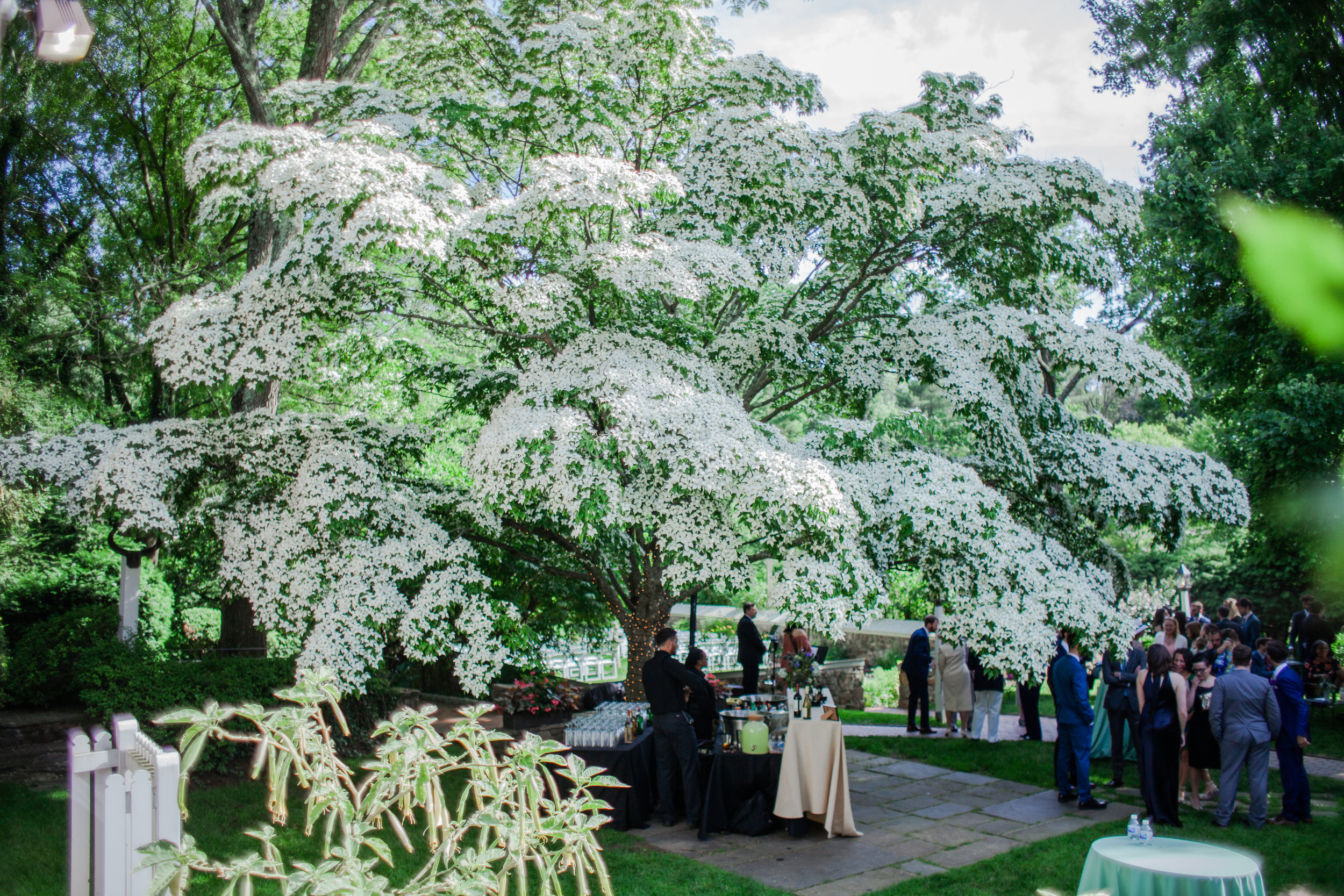 Kaitlin and Peter's Wedding June 8 2019-722.JPG