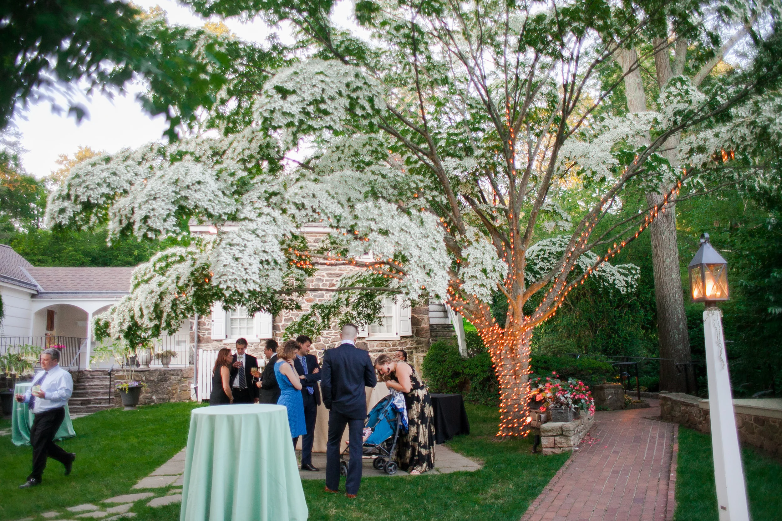 Kaitlin and Peter's Wedding June 8 2019-1780.JPG