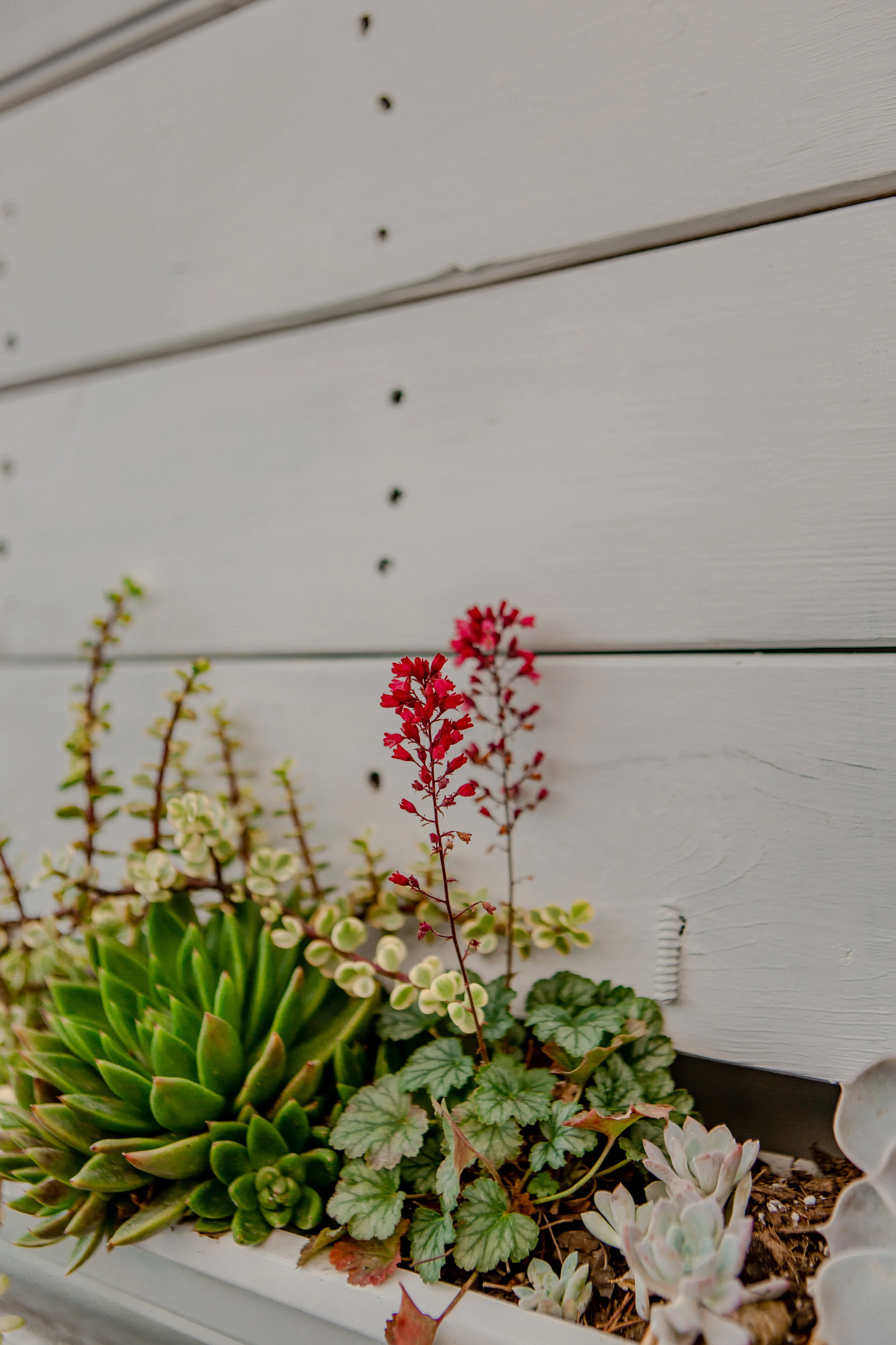 Mary and Mark's Wedding-1198.JPG