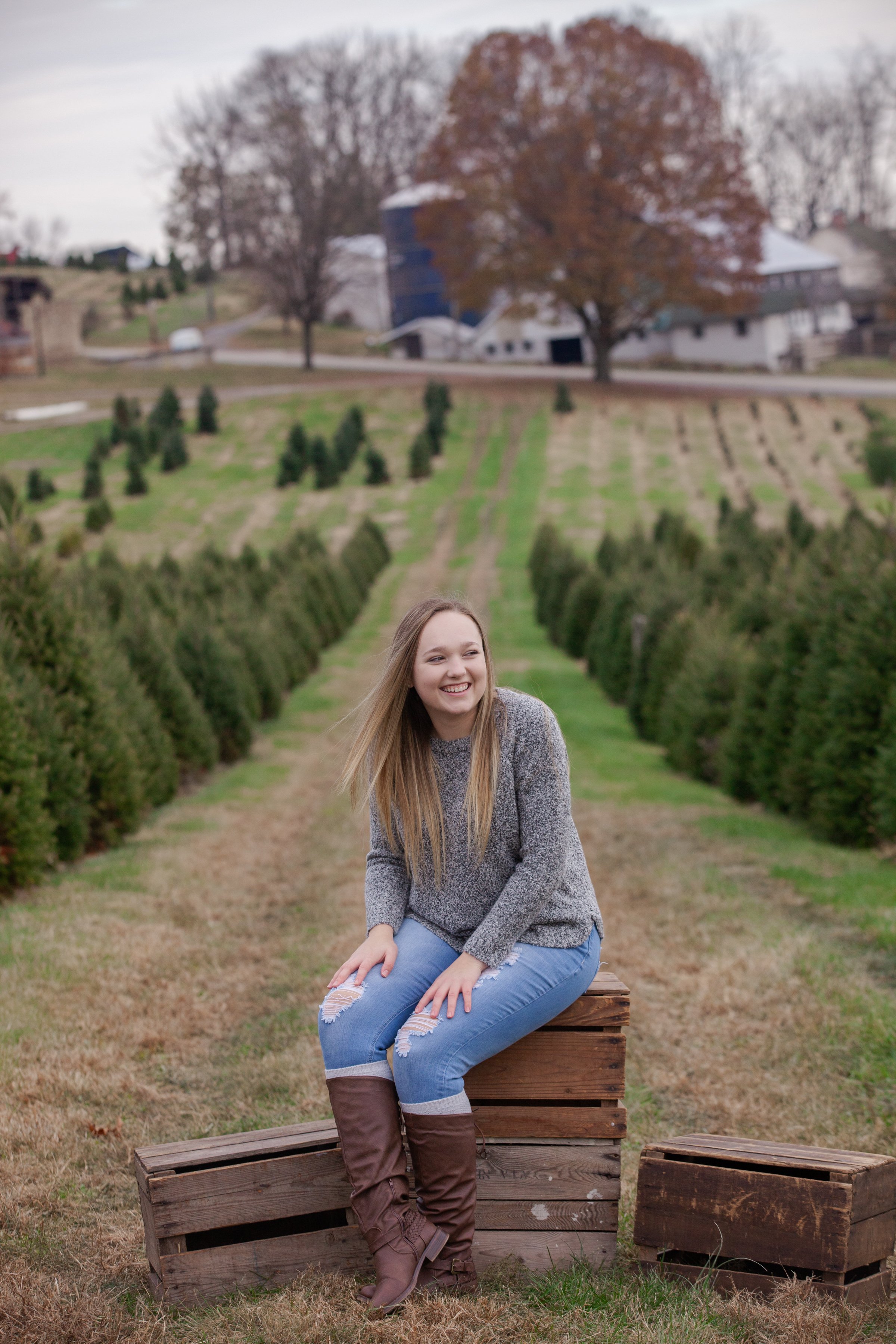 Christmas Tree Photo Sessions 2019-591.JPG