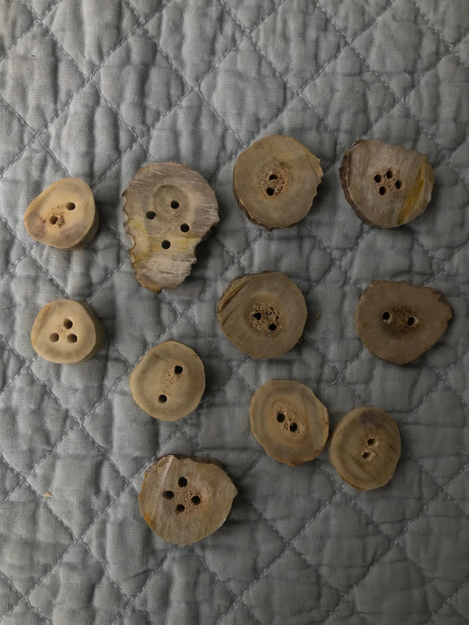 F6E6E49A-8D0F-404E-B394-45D7A196C652