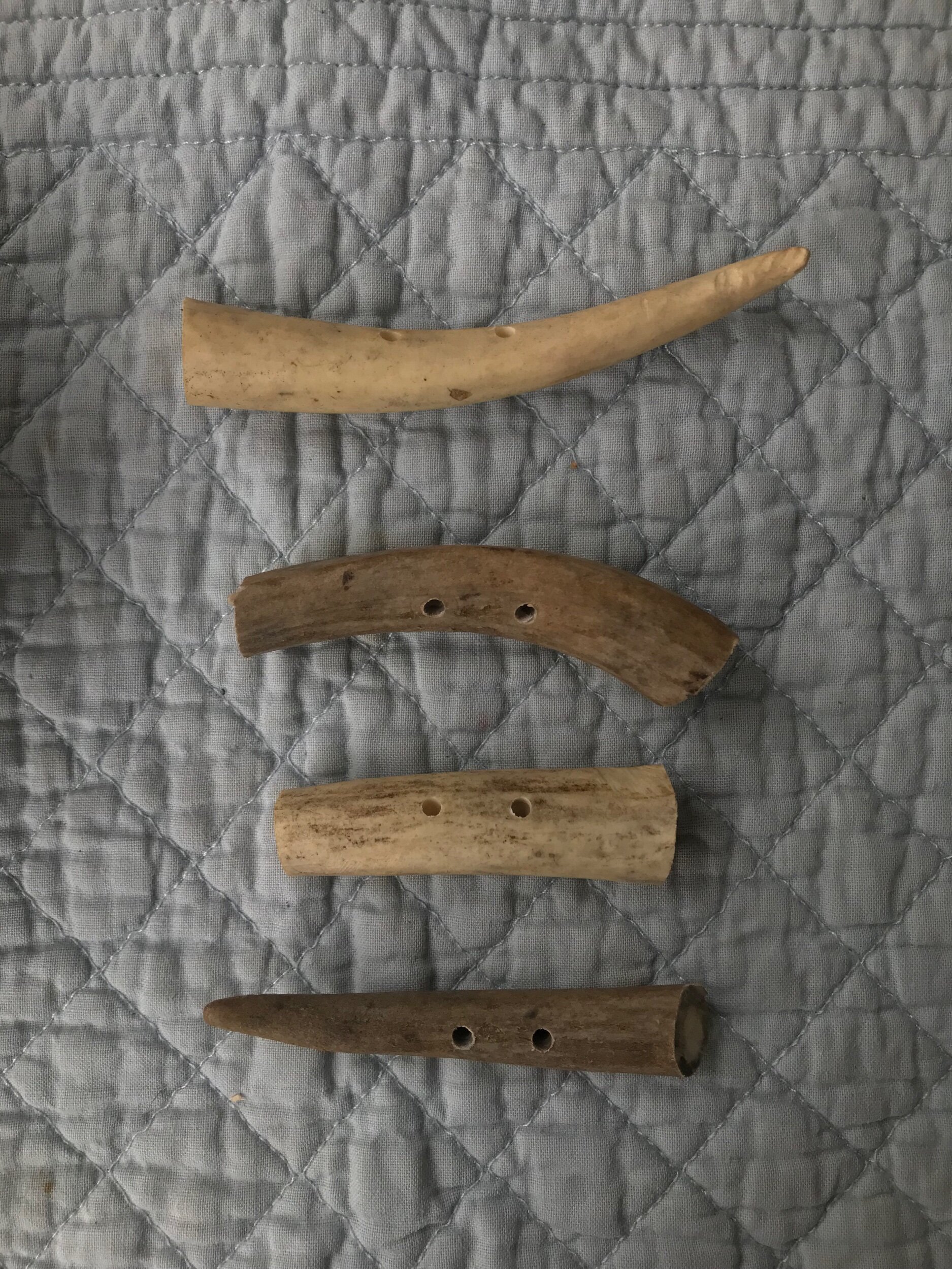 E0D6F401-0799-4EF5-9684-1985F5587B12