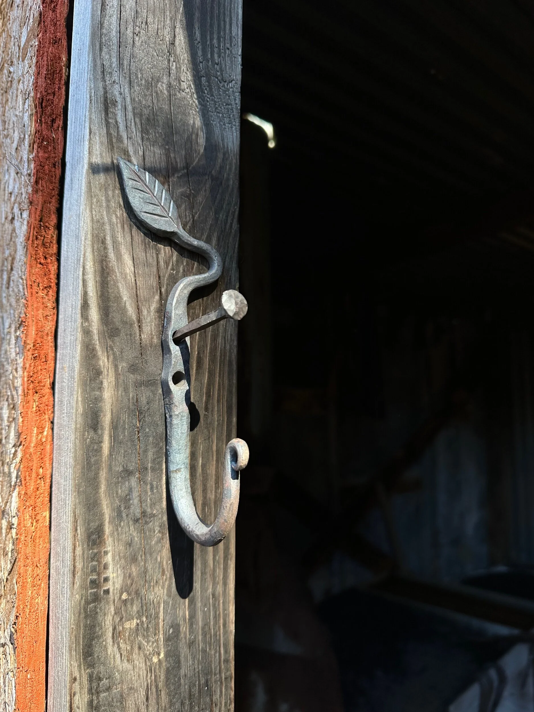 F79EB510-7CD8-4DB5-B40F-AE0DCF786643