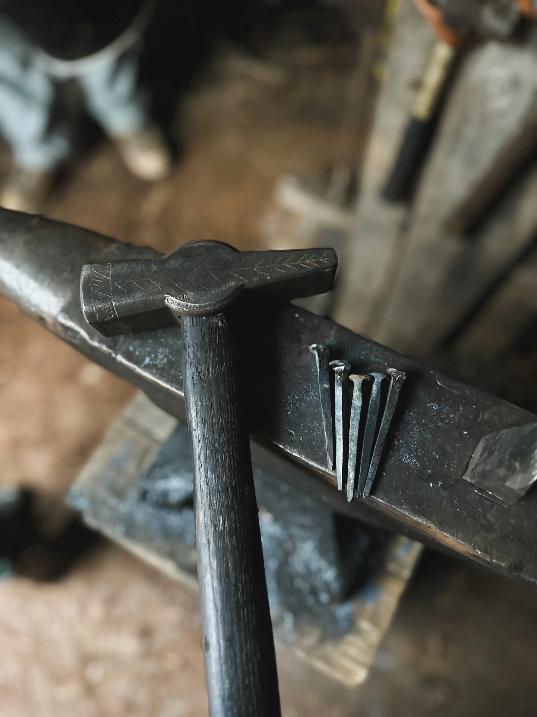 359CC159-8DBF-45C3-8072-48CC6629319D