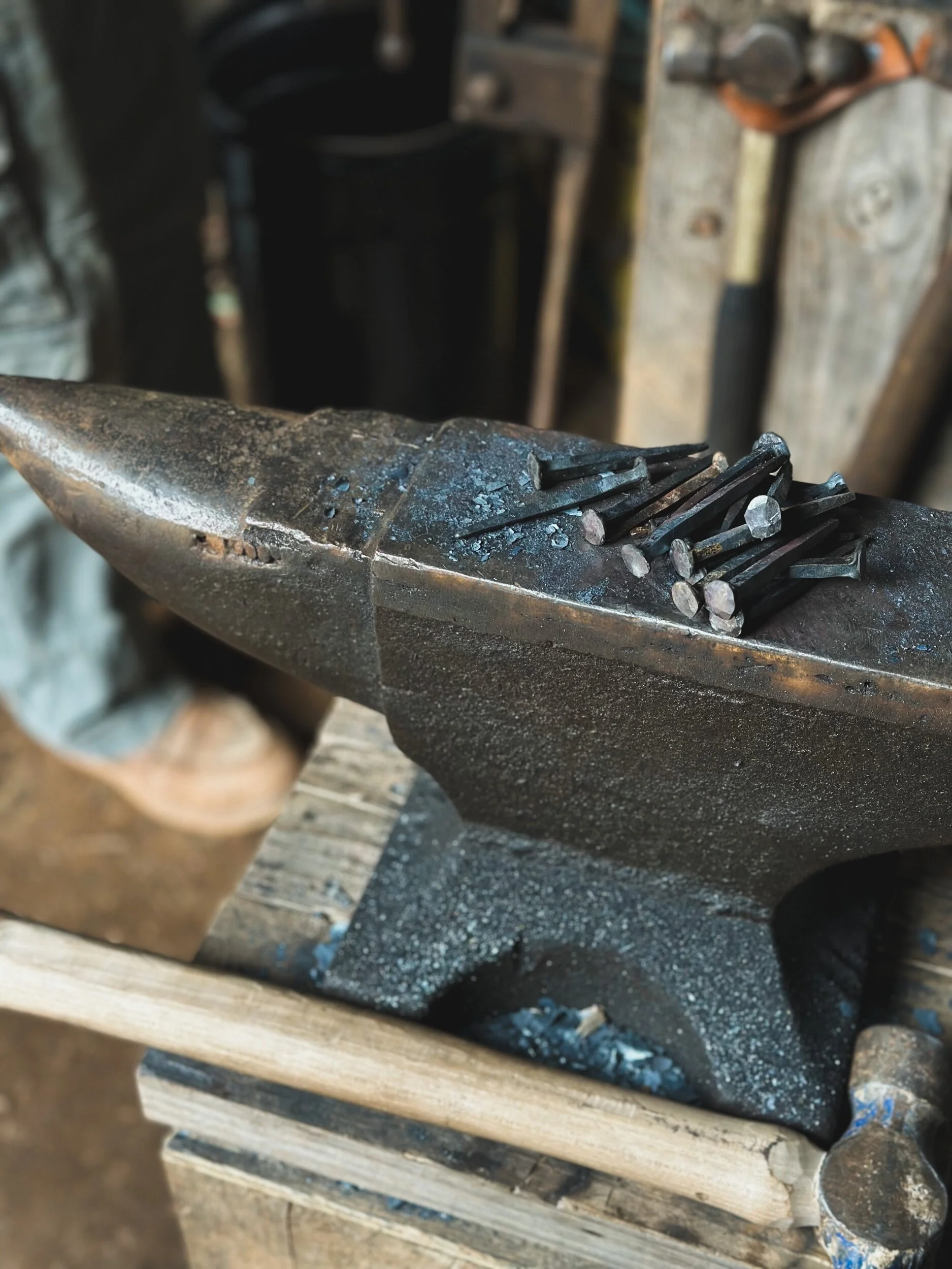 488E53D3-CBE8-4431-AF31-BE29B02BA0EB