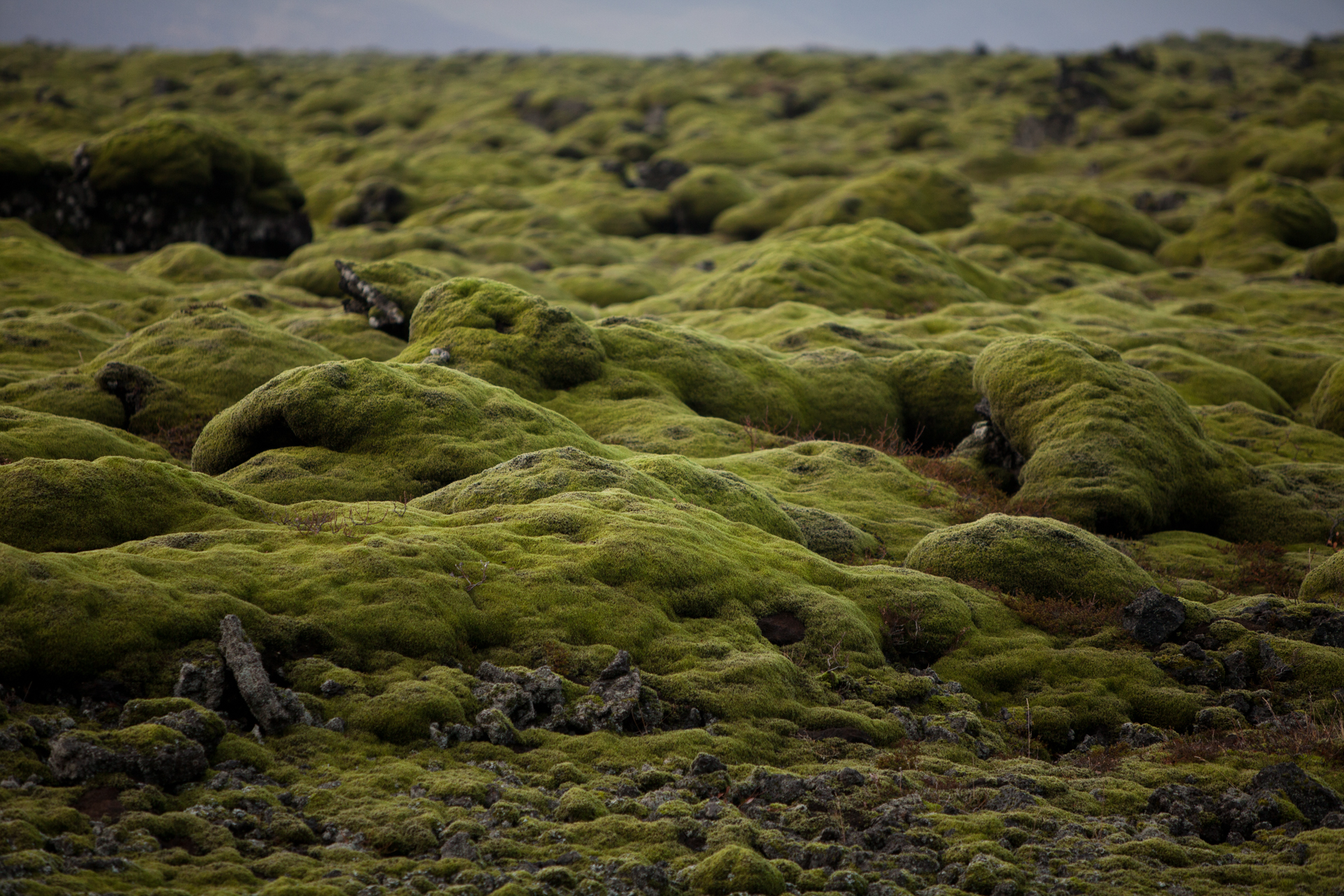 ICELAND_006.jpg