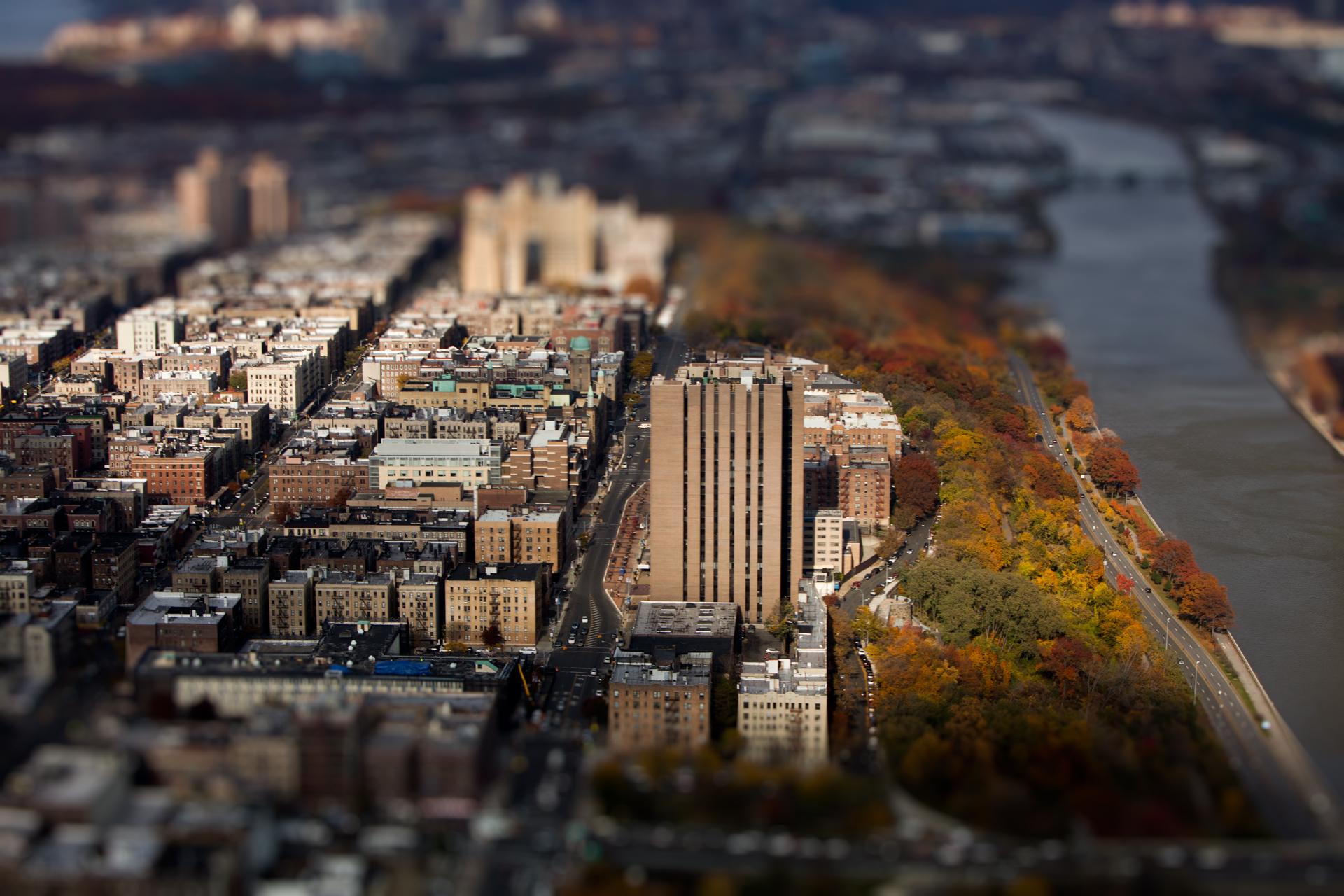 NEW_YORK_TILTSHIFT_008.jpg