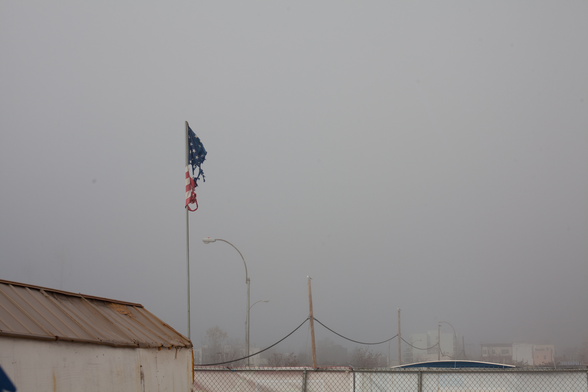 CONY_ISLAND_003.jpg