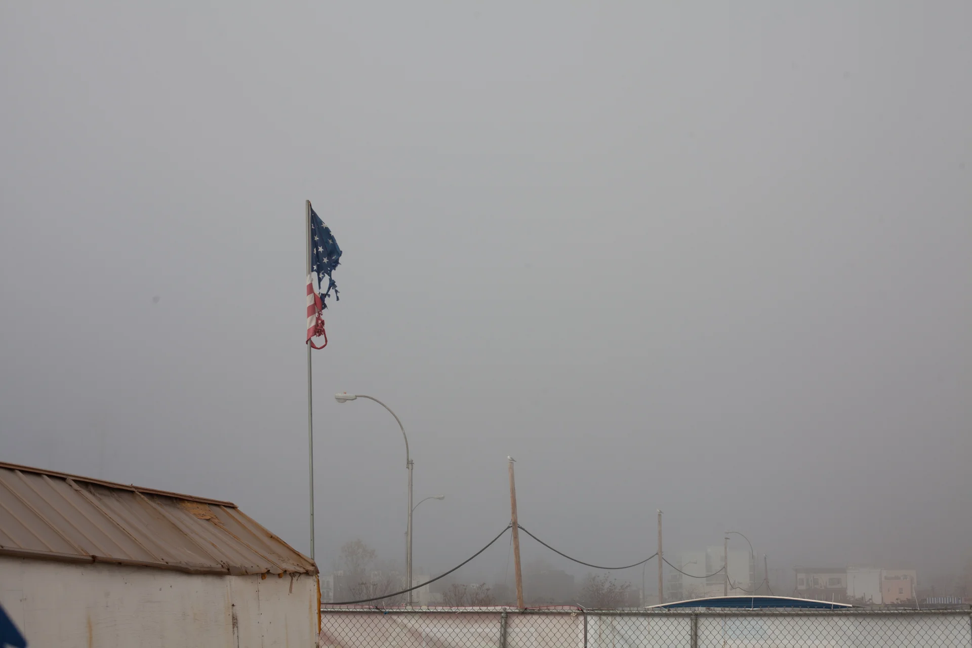 CONY_ISLAND_003.jpg