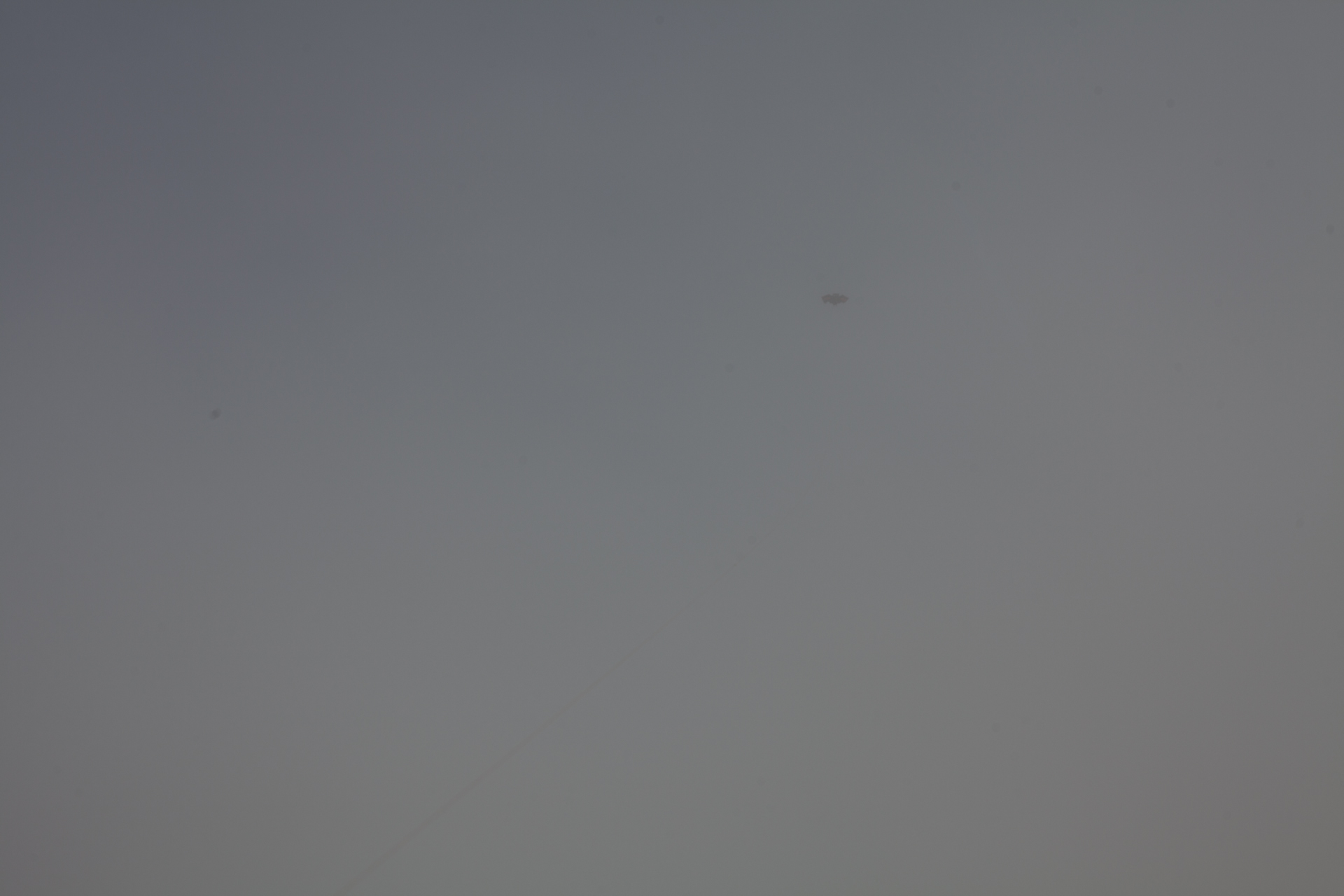 CONY_ISLAND_004.jpg
