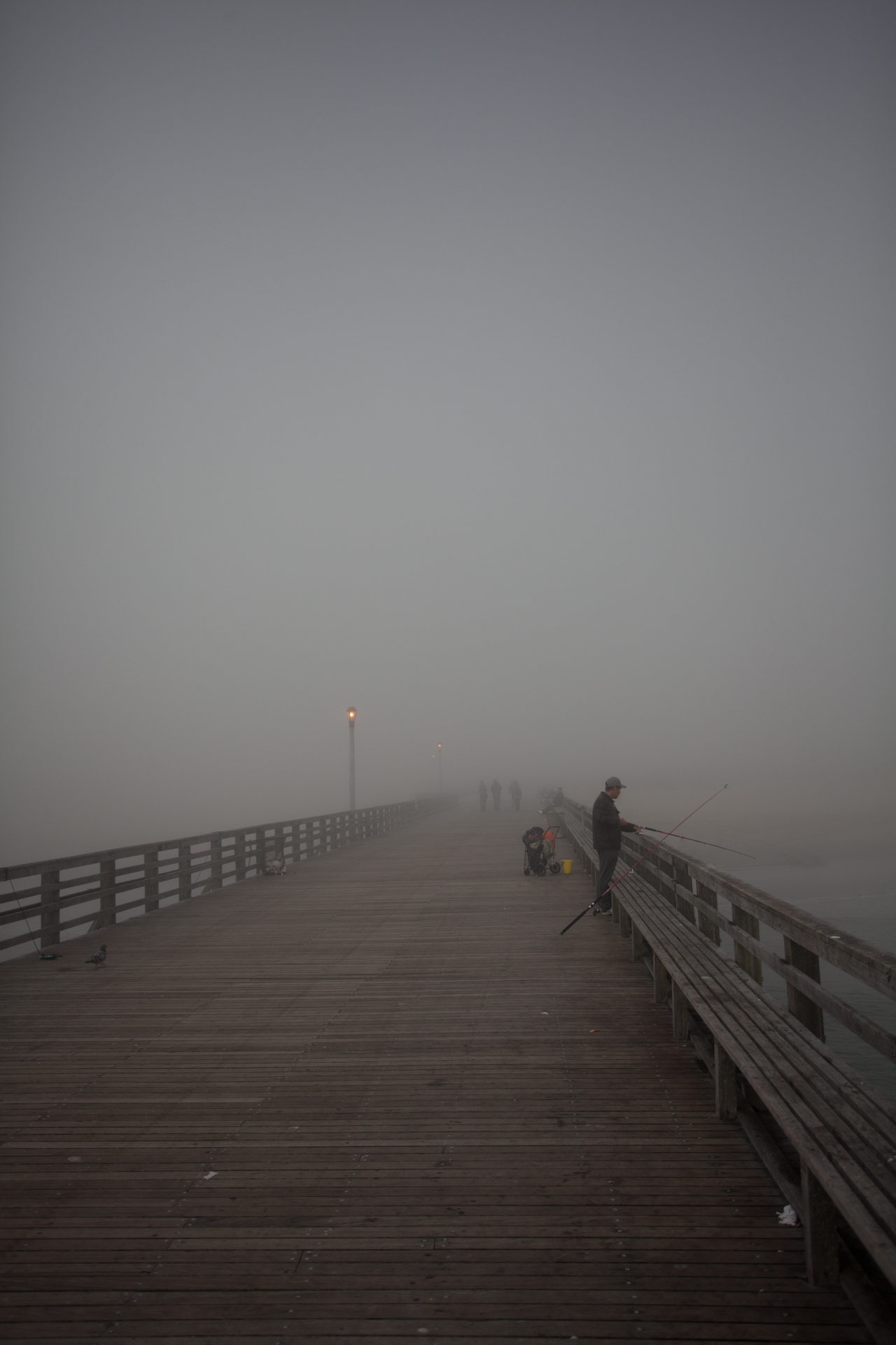 CONY_ISLAND_006.jpg